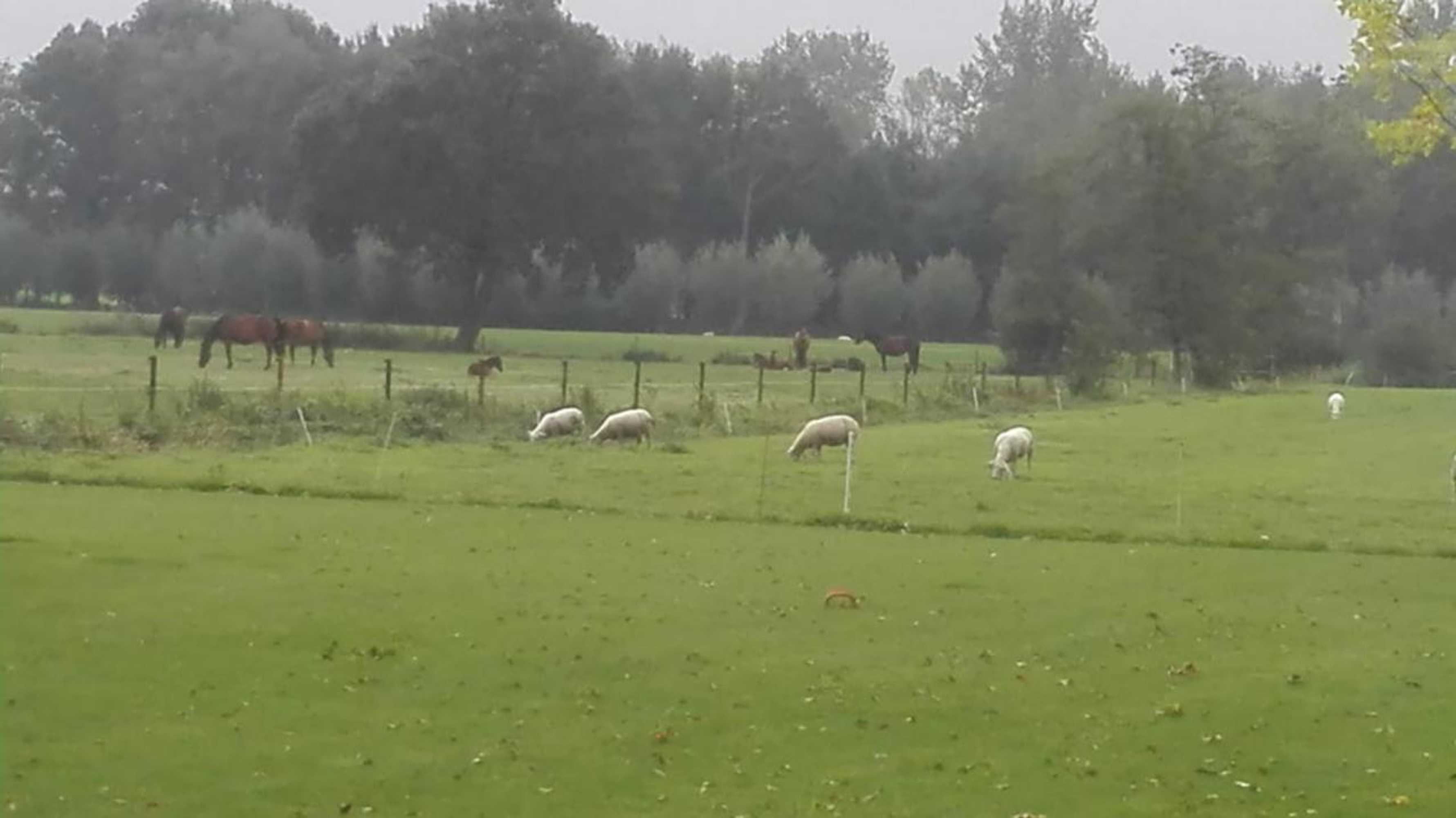 Gift card for De Weije Wereld