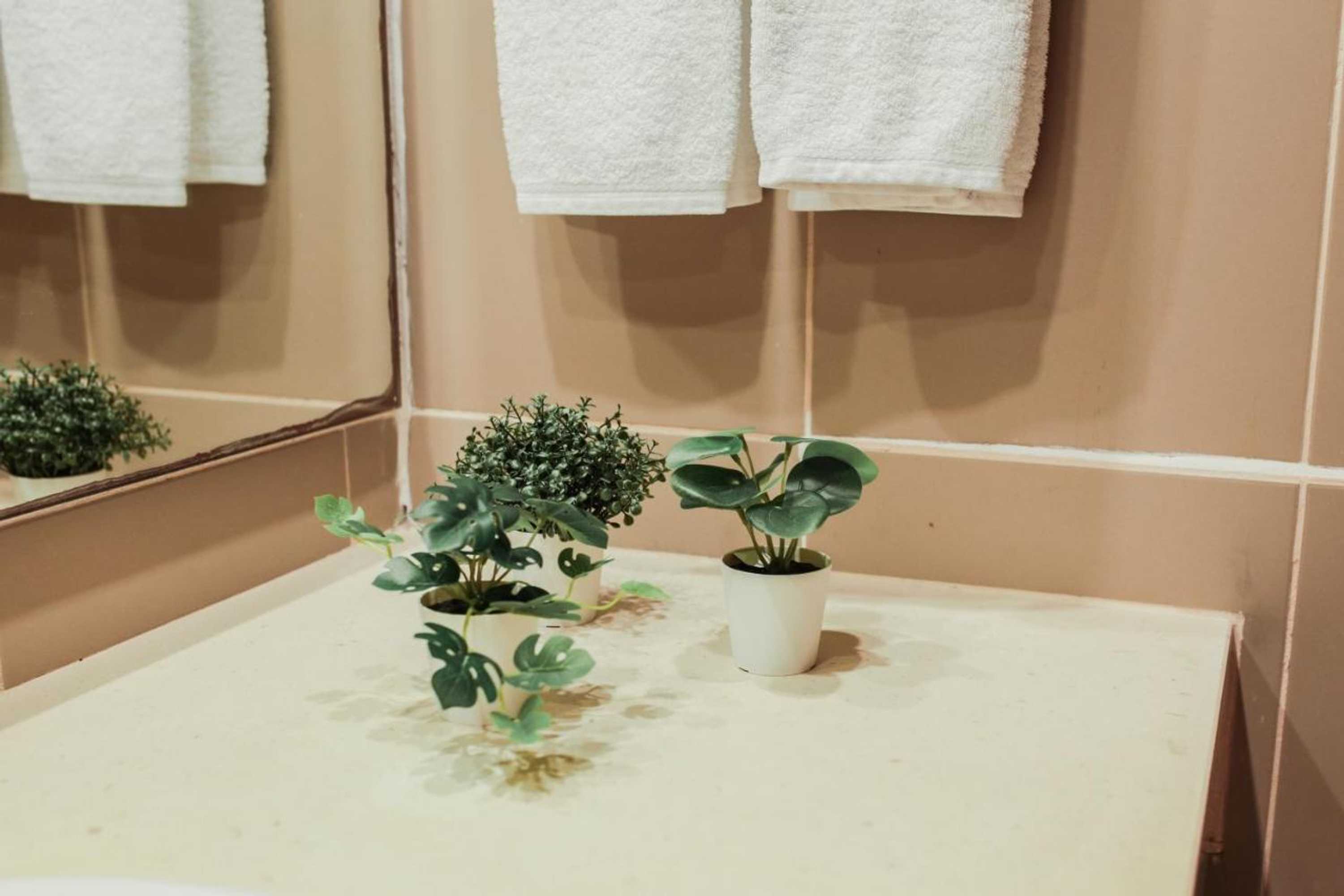 Gift card for Burguezia do Leitão