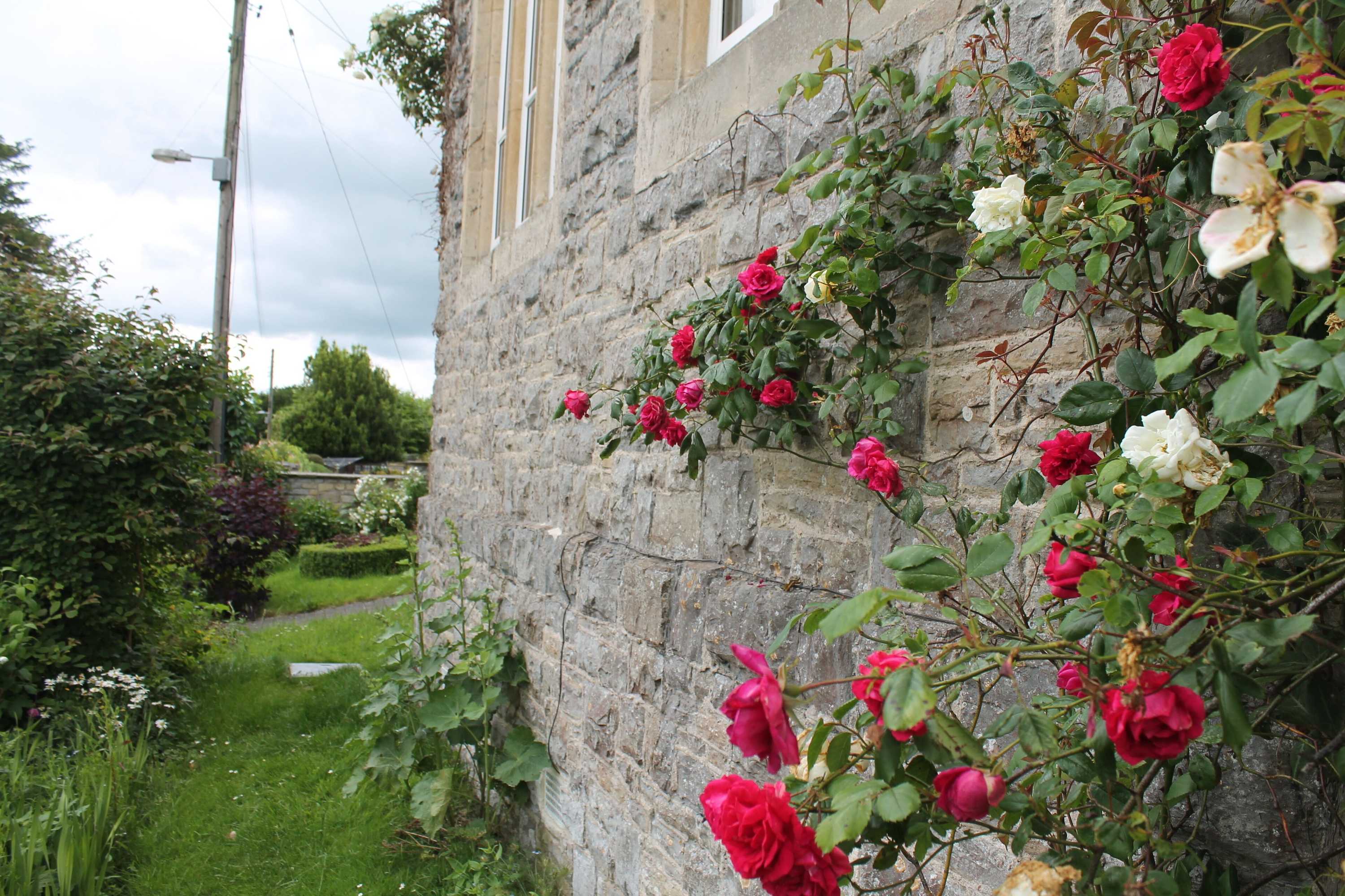 Gift card for The School House