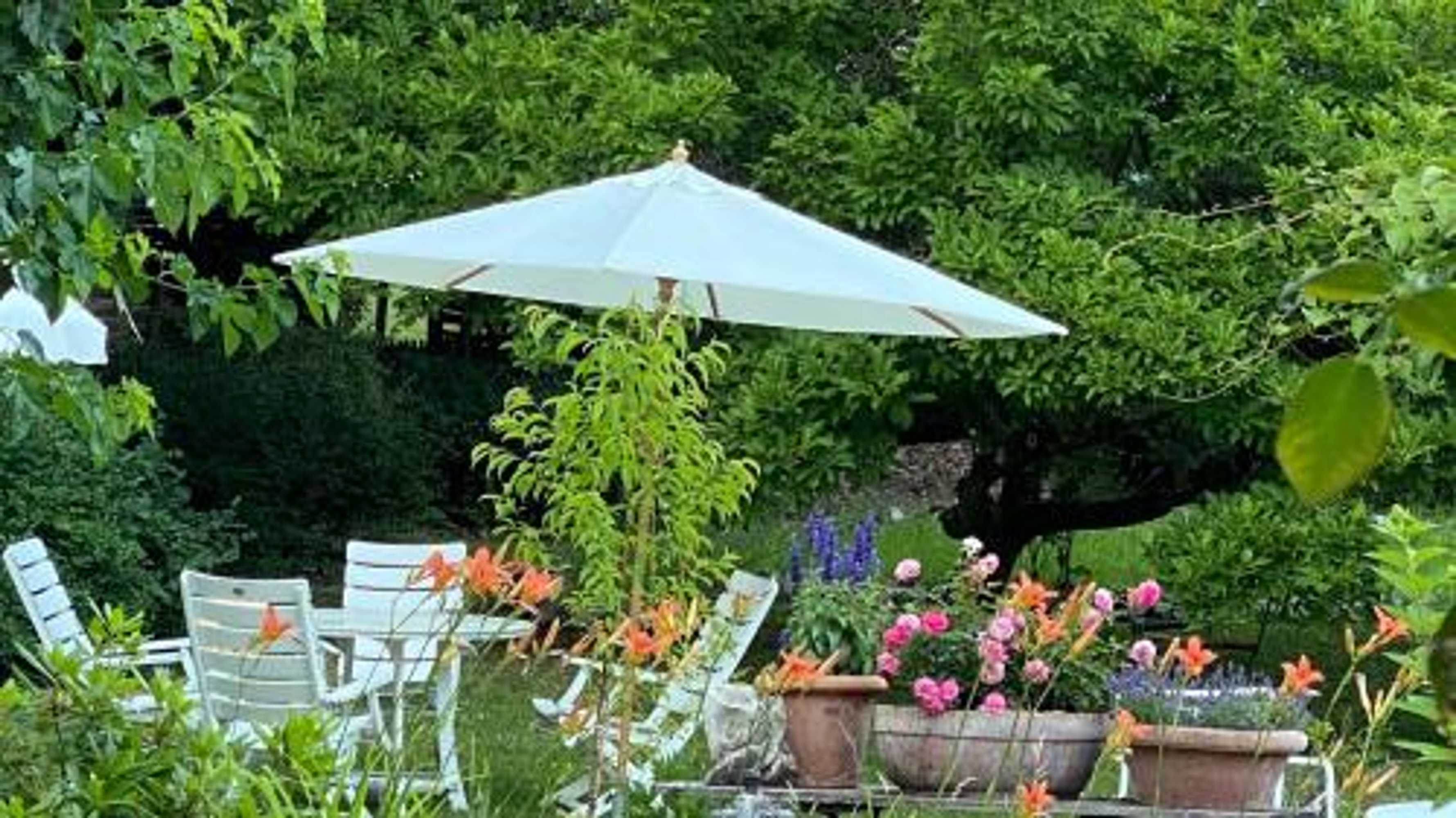 Gift card for Villa Zur Erholung Bed & Breakfast Gift card for Villa Zur Erholung Bed & Breakfast