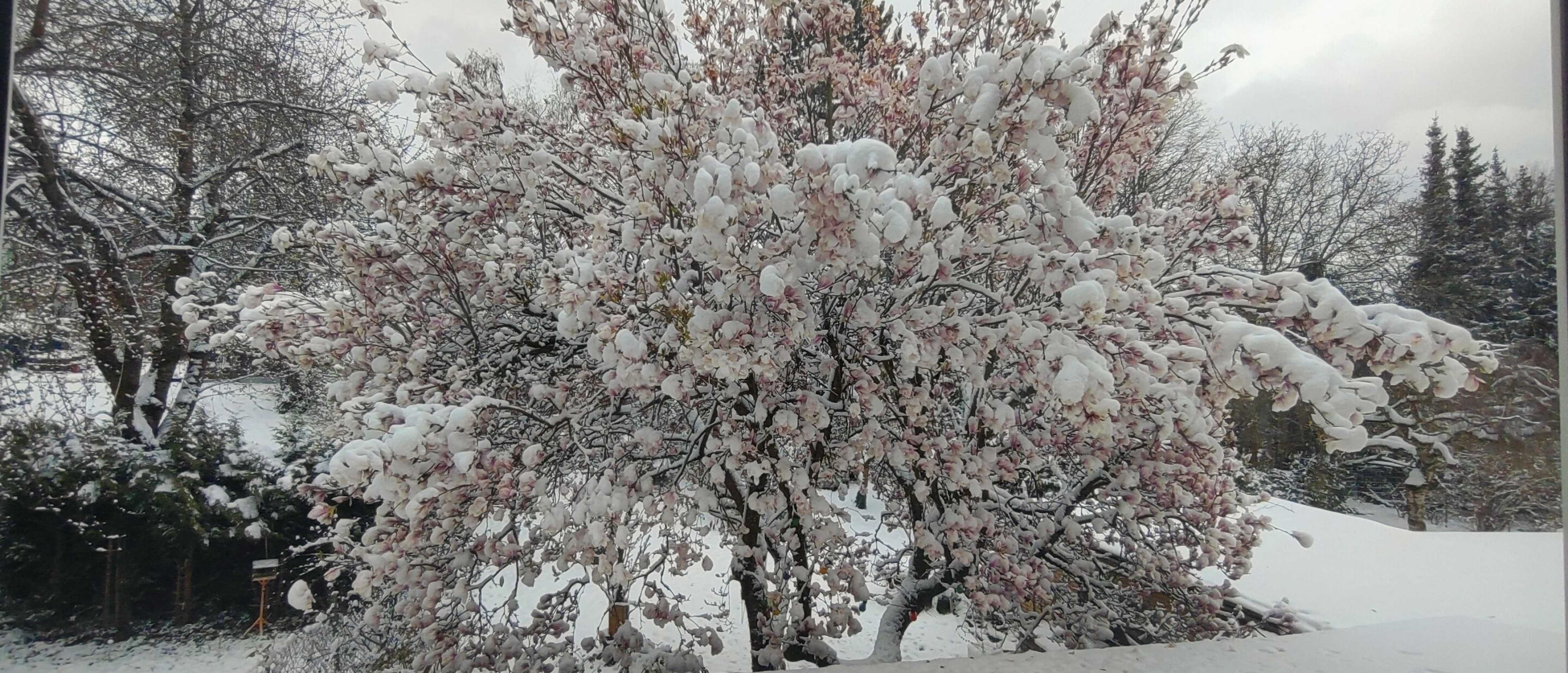 Gift card for Pension Doemens