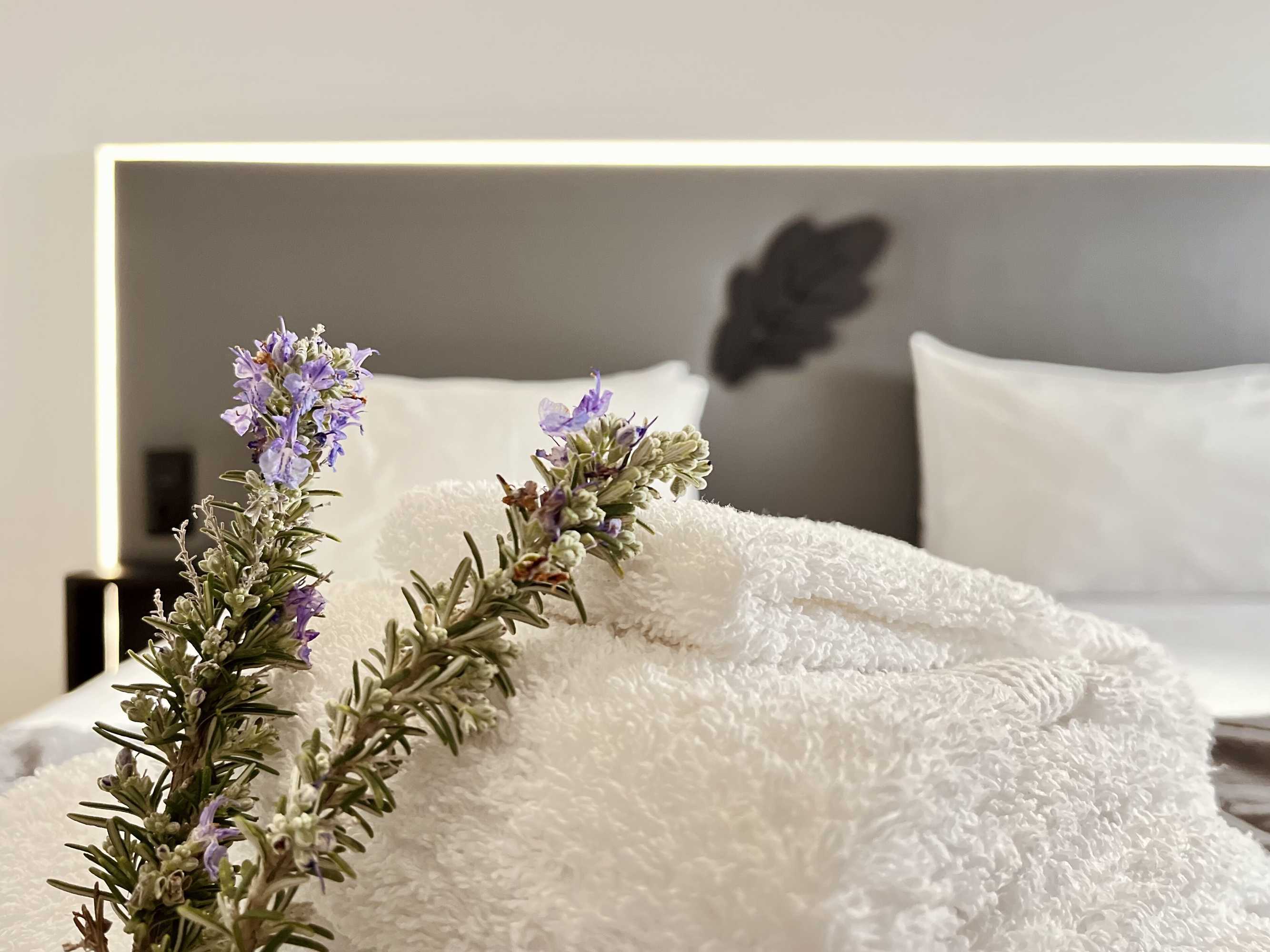 Gift card for Bhdouro Gift card for Bhdouro