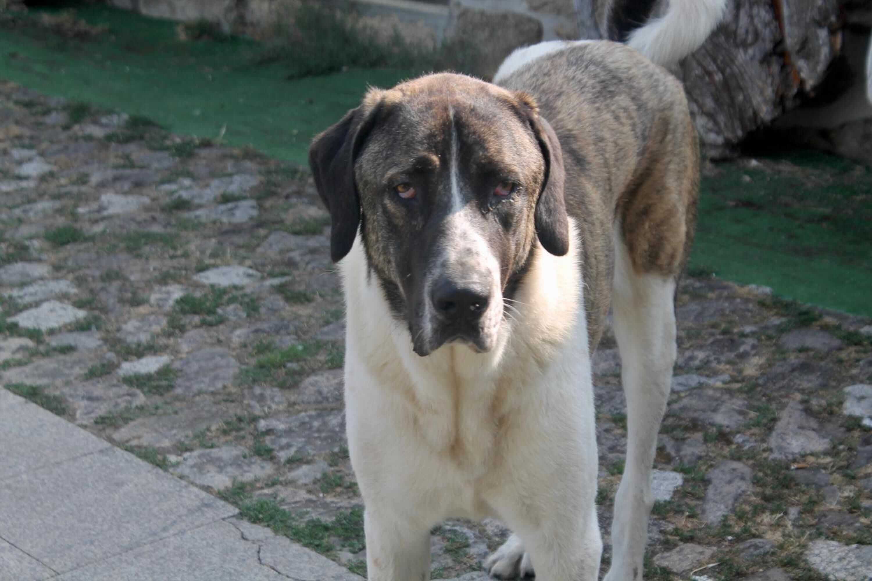 Gift card for Quinta da Mata