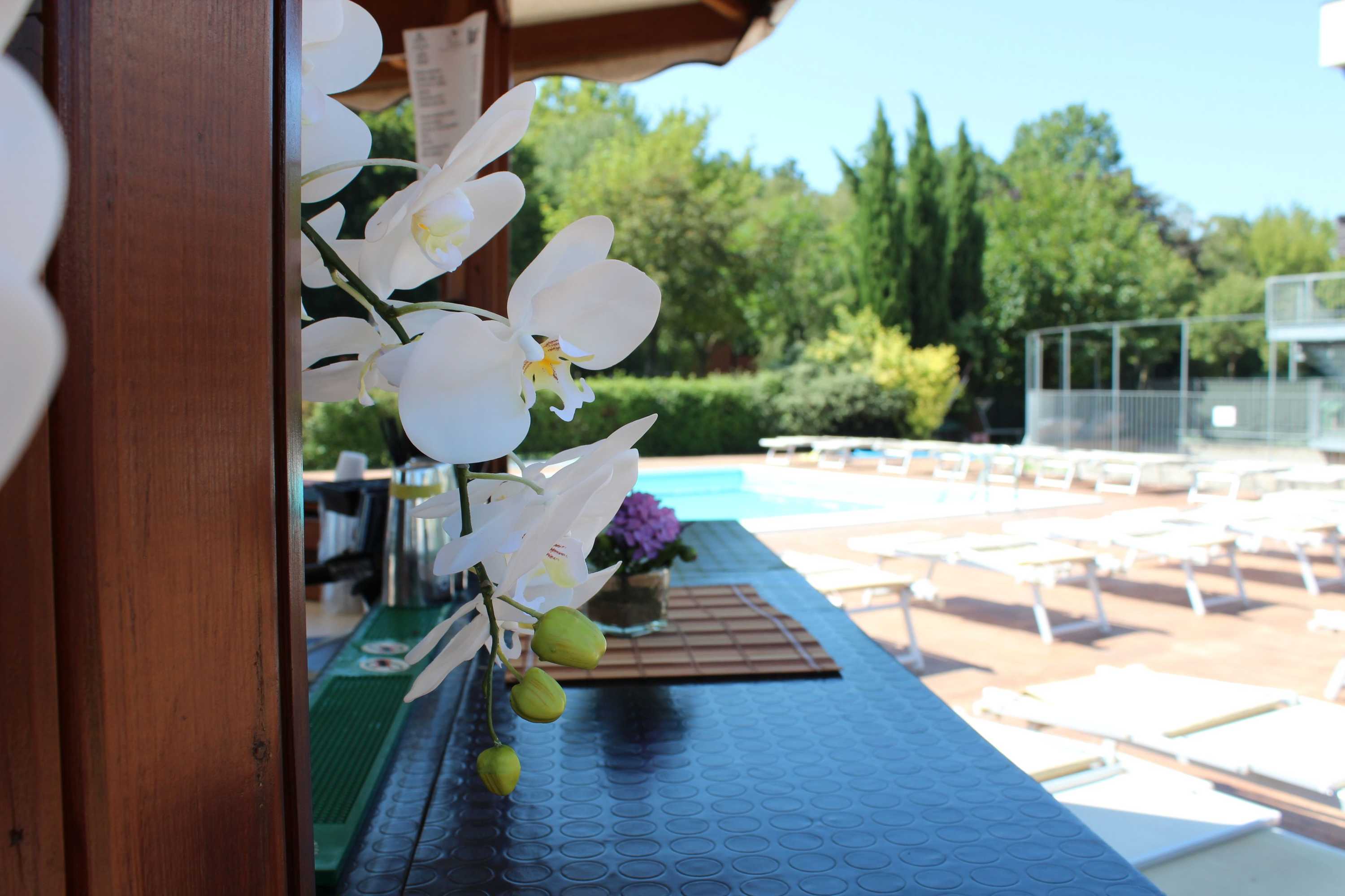 Gift card for Piccolo Hotel Nogara Gift card for Piccolo Hotel Nogara