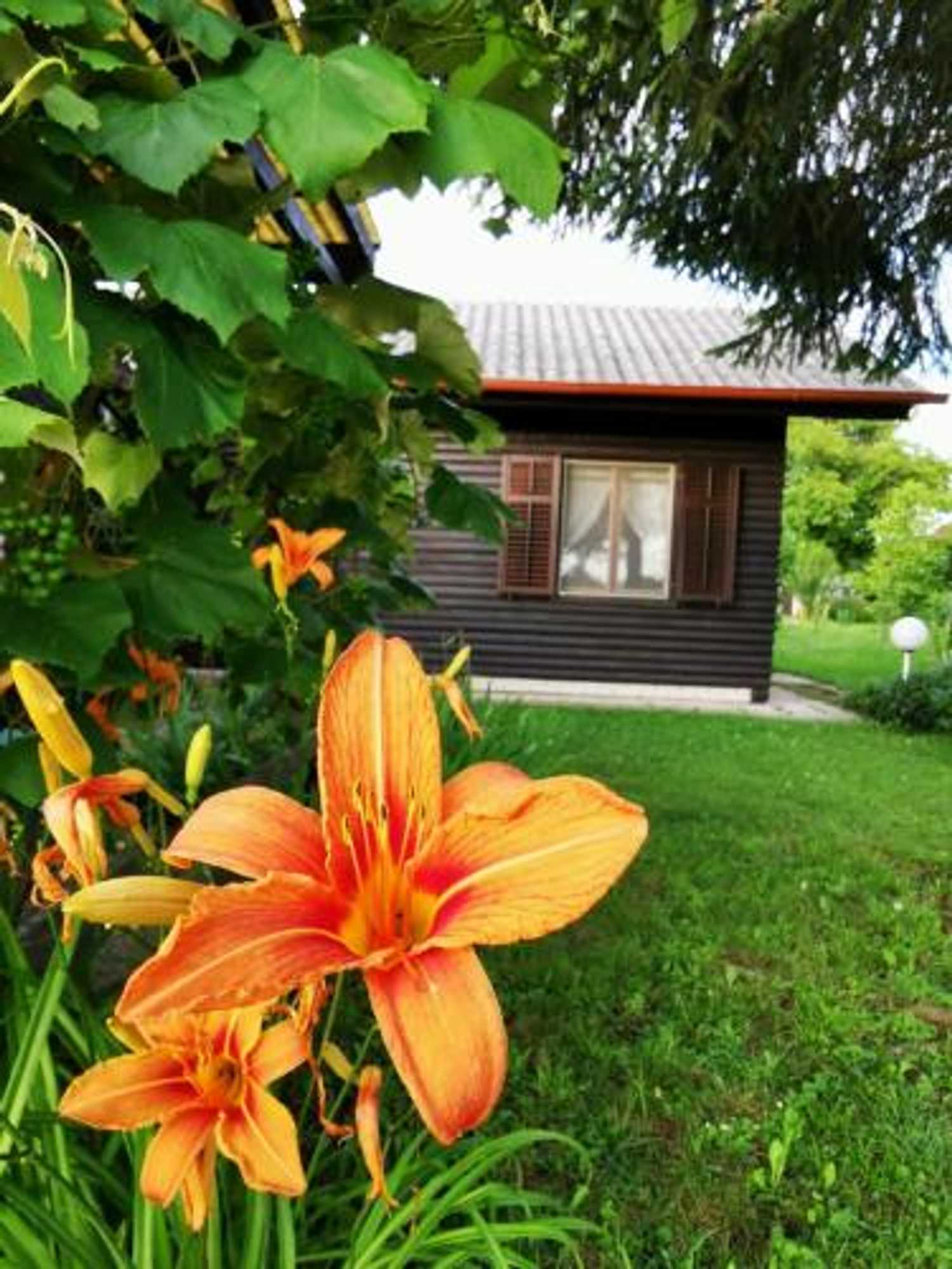 Gift card for Merikotka - a Cozy Wooden Cottage, Slovenia Gift card for Merikotka - a Cozy Wooden Cottage, Slovenia