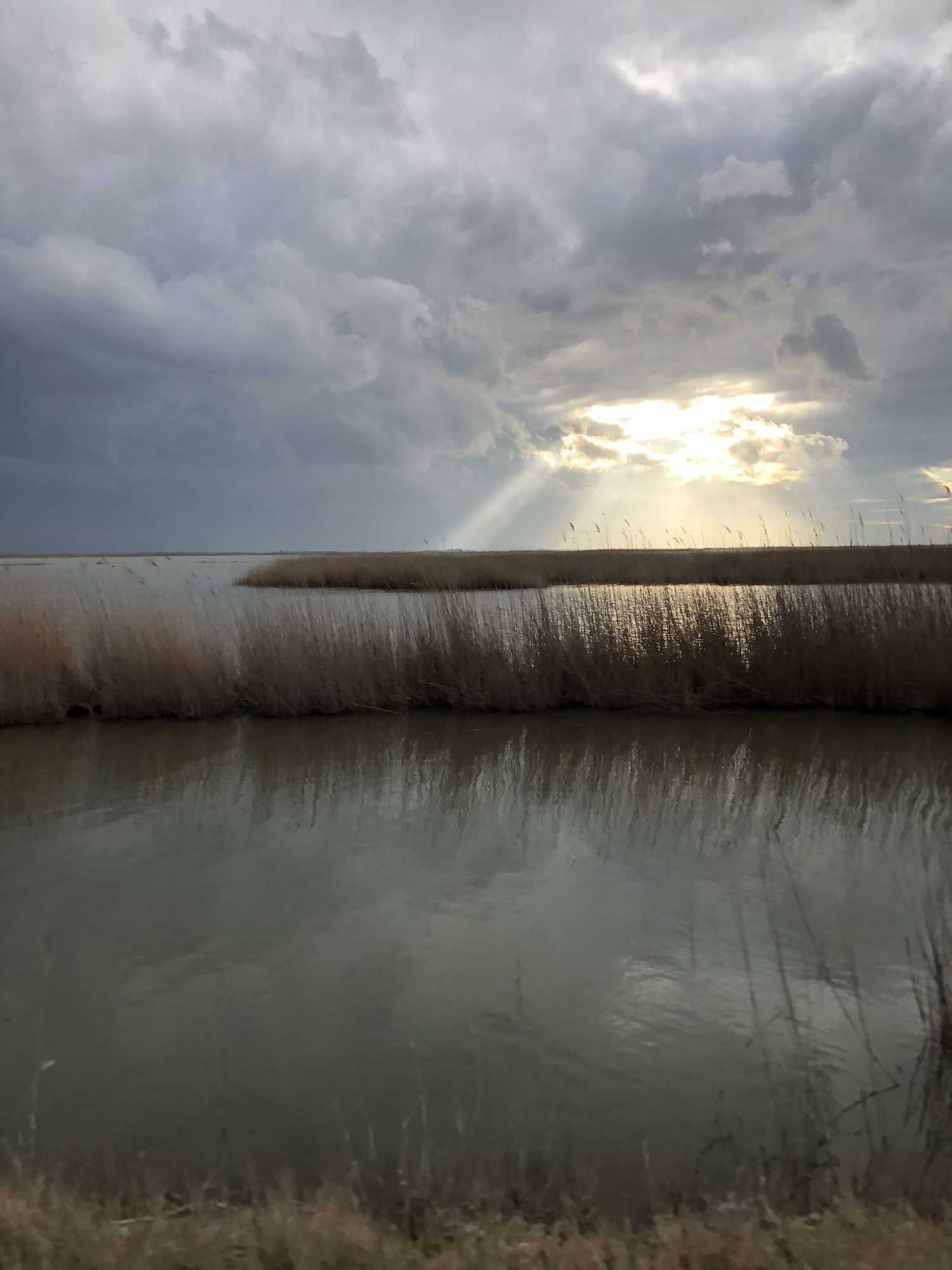 Gift card for Hotel Le Lys D'or