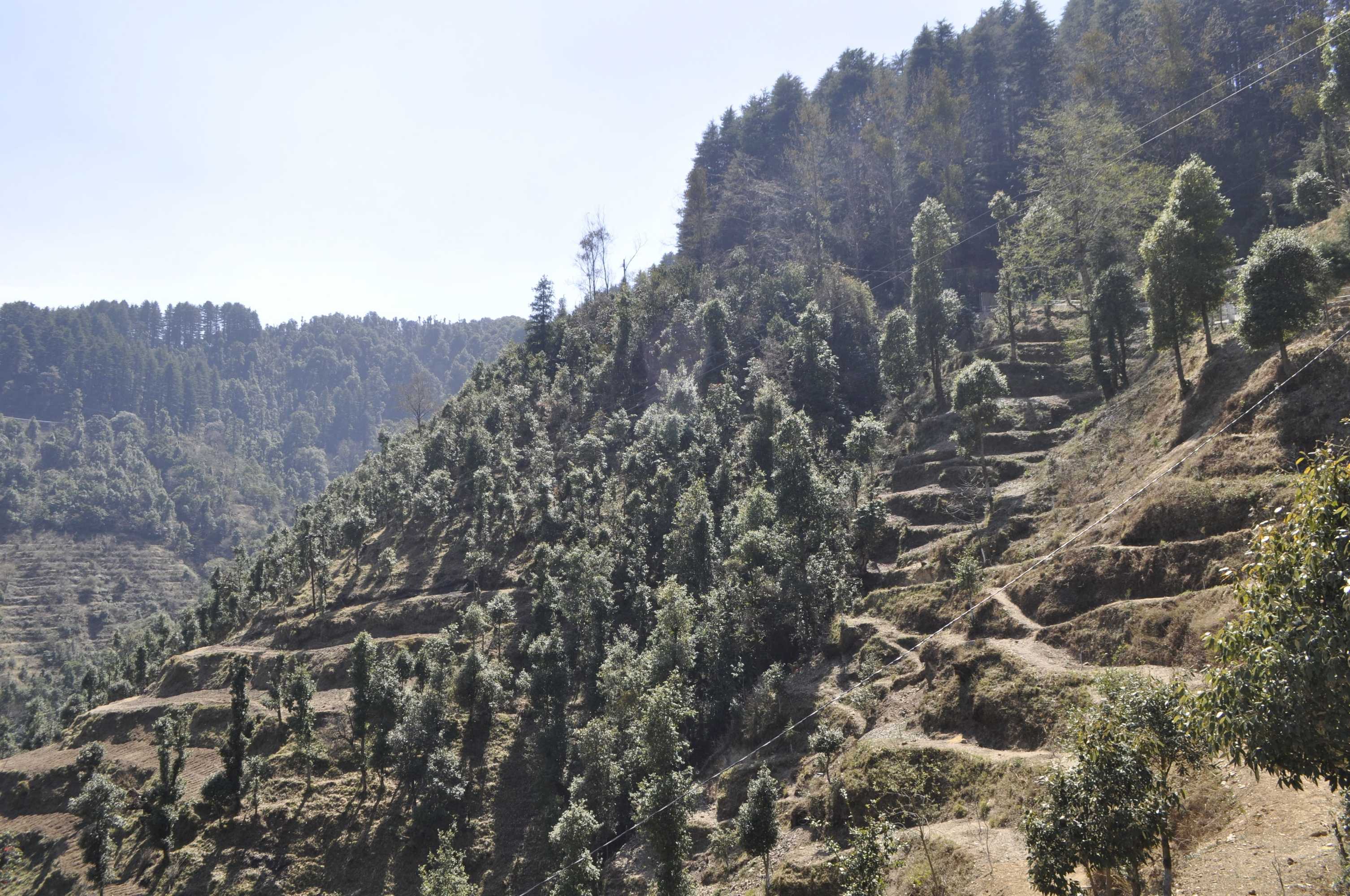 Gift card for Hotel Garden Cottage & Resort Dhanaulti Gift card for Hotel Garden Cottage & Resort Dhanaulti