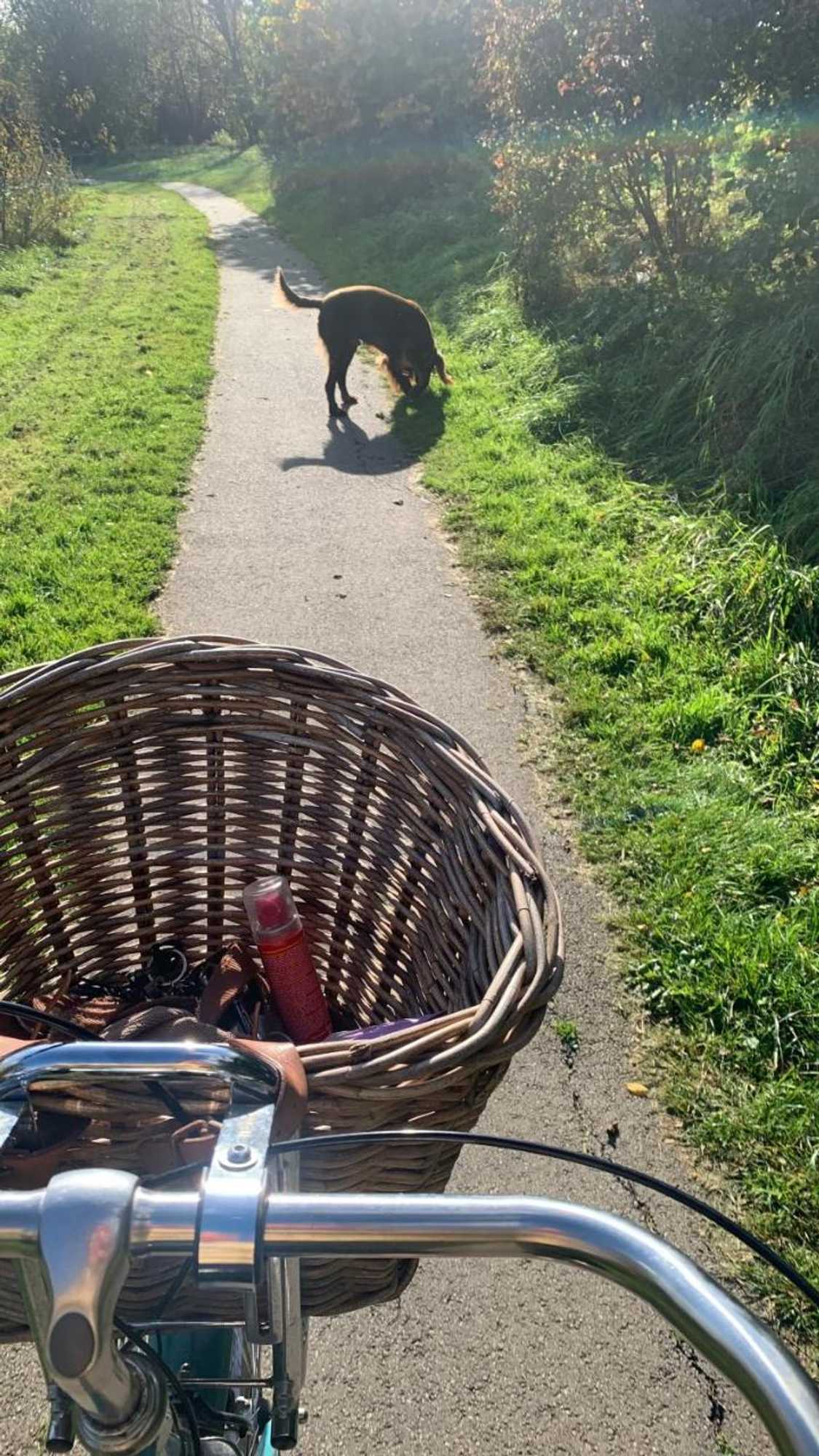 Gift card for Maas Lodge