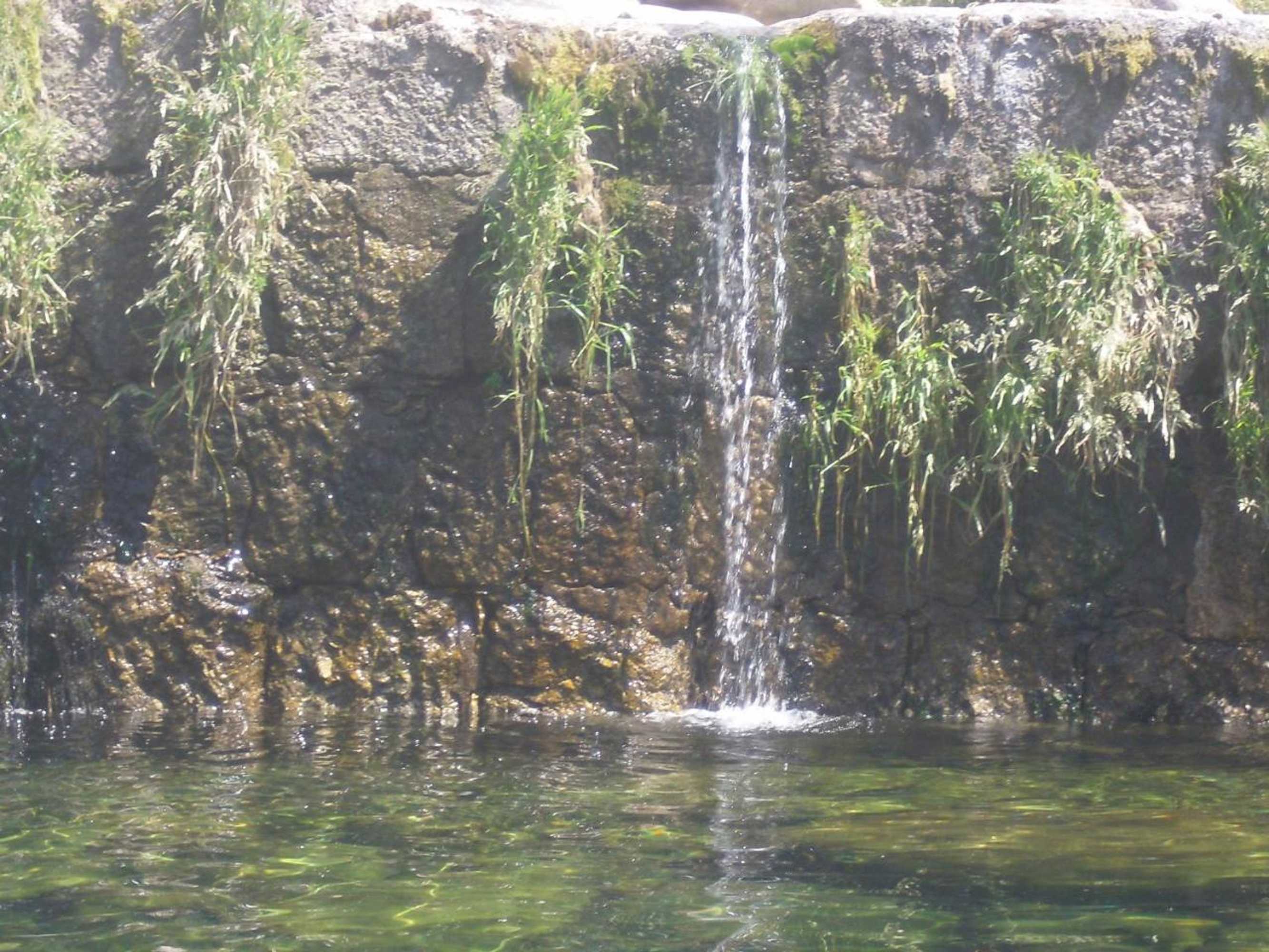 Gift card for Pensão Estrela