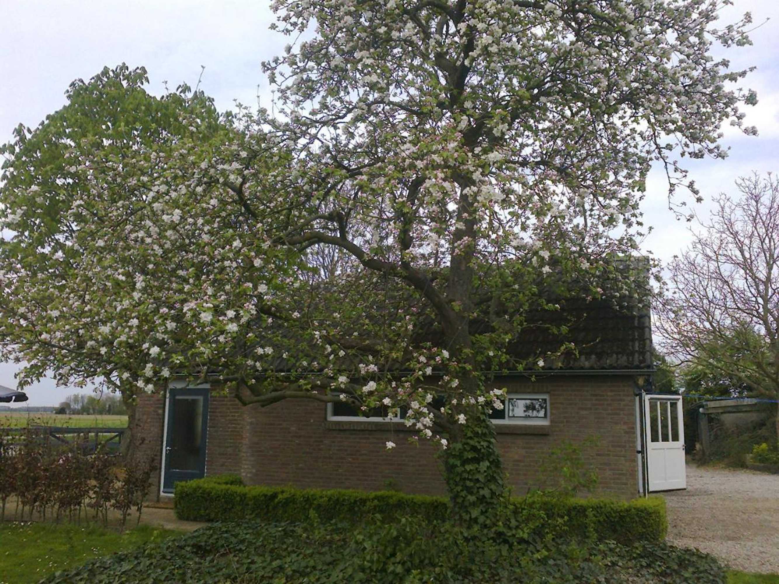 Gift card for Holiday Cottage de Garage Inn