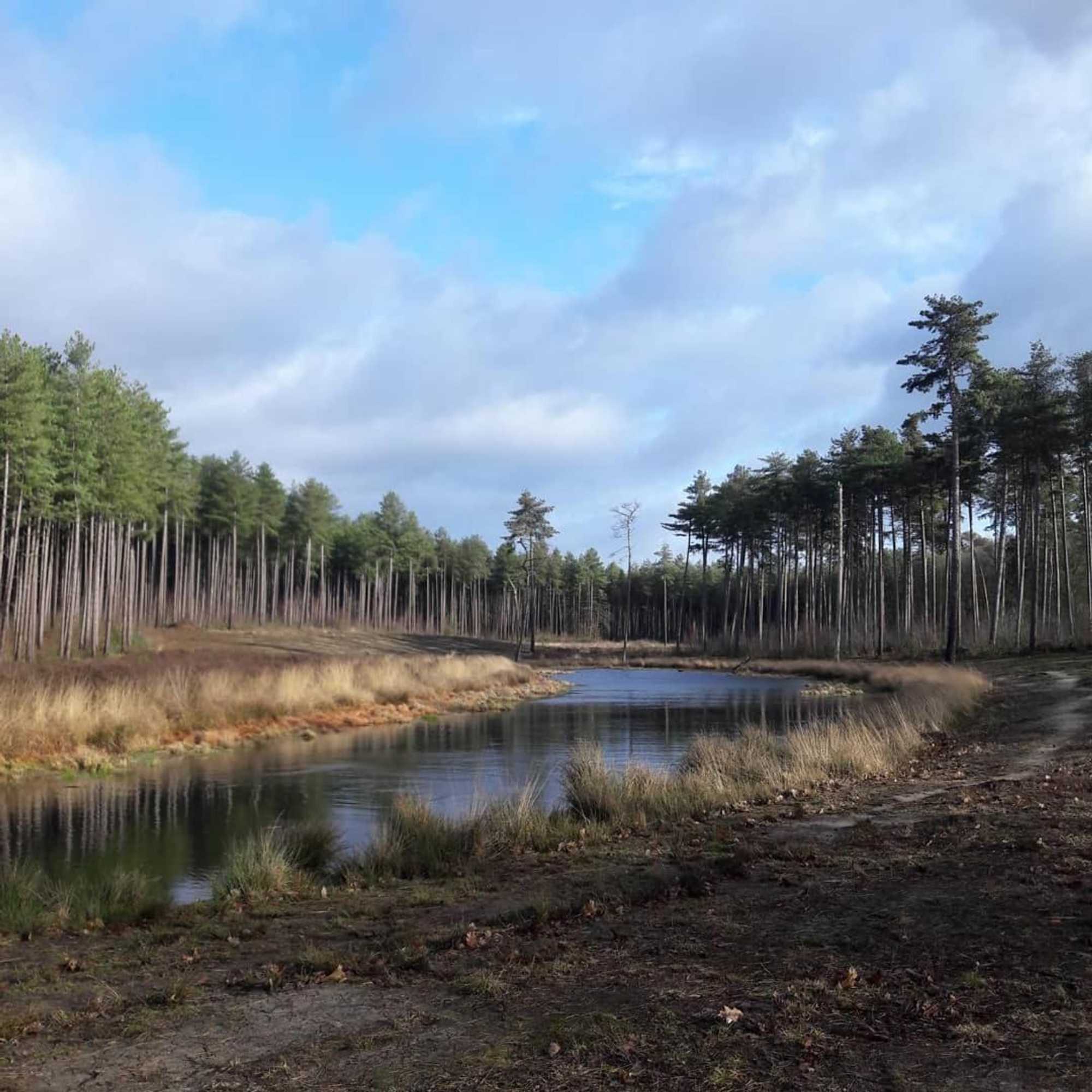 Gift card for Beeltjens B&b: Wolf&belle