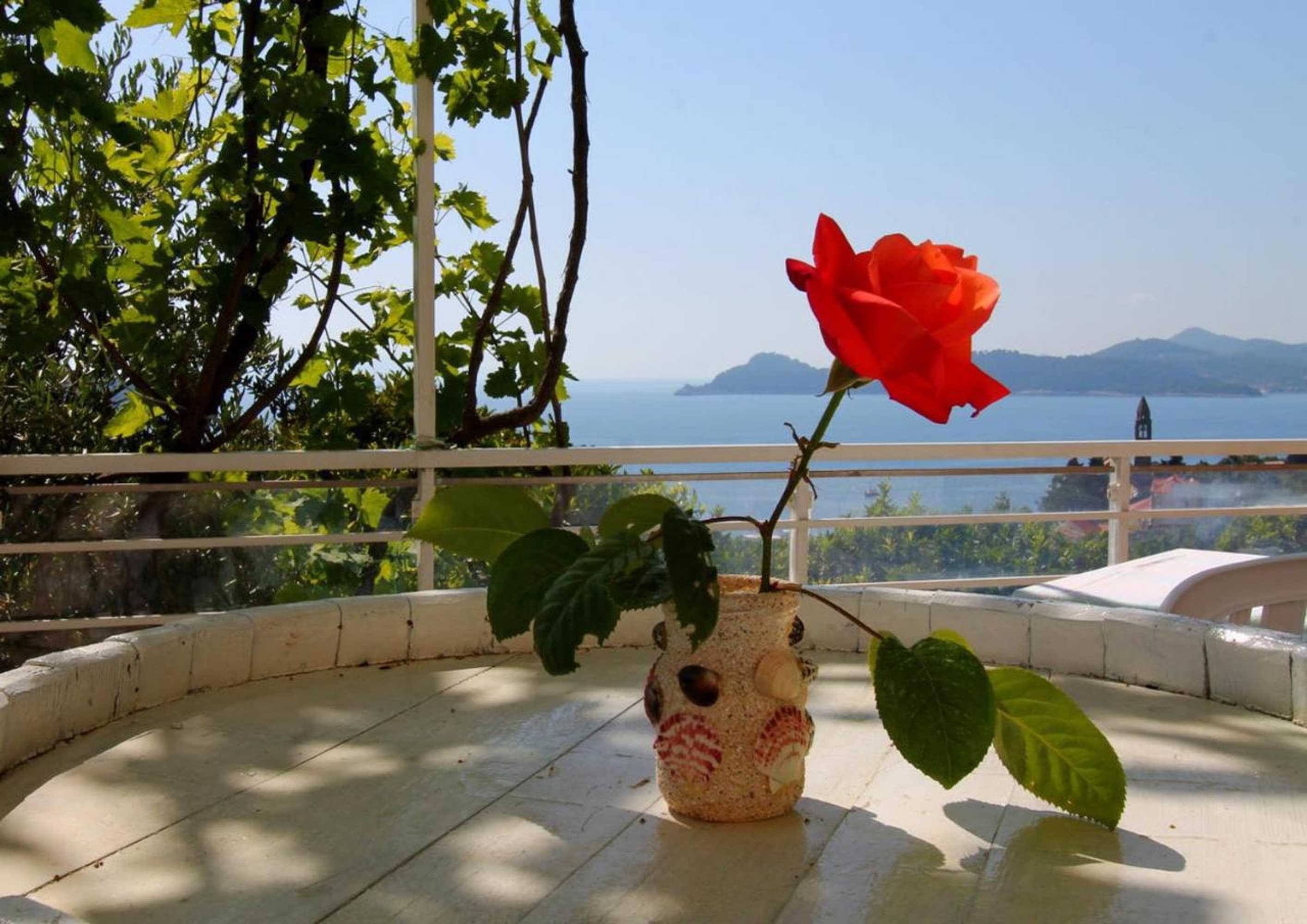 Gift card for Apartments Cervelin