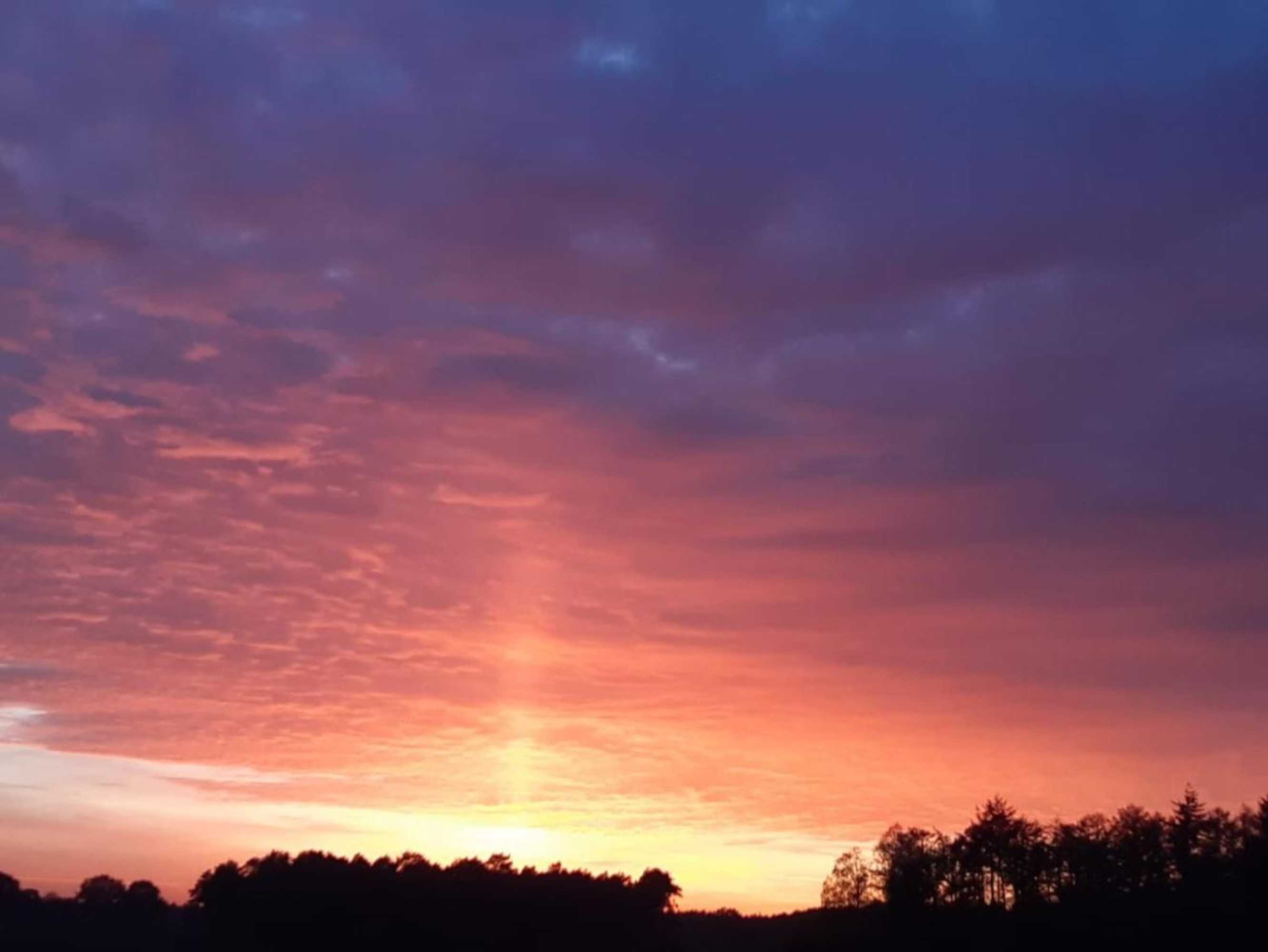 Gift card for Chalet de Kleine Eekhoorn