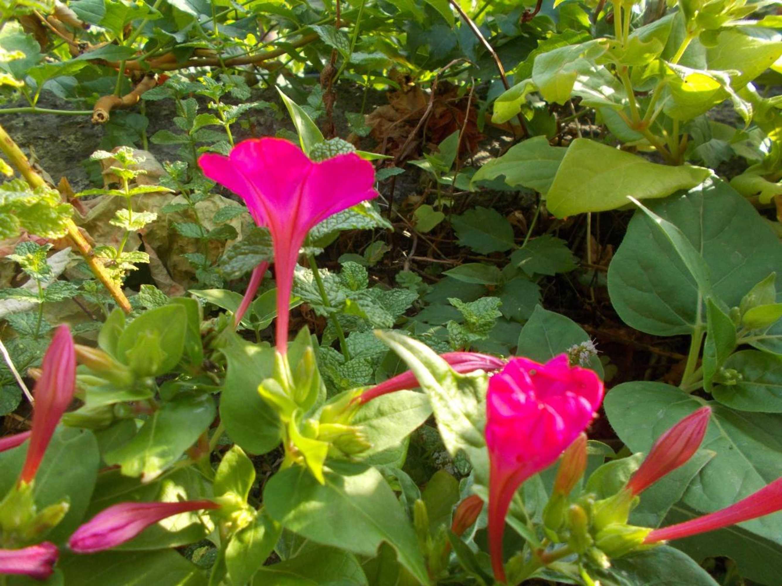 Gift card for Casa de São João Das Castanheiras Gift card for Casa de São João Das Castanheiras