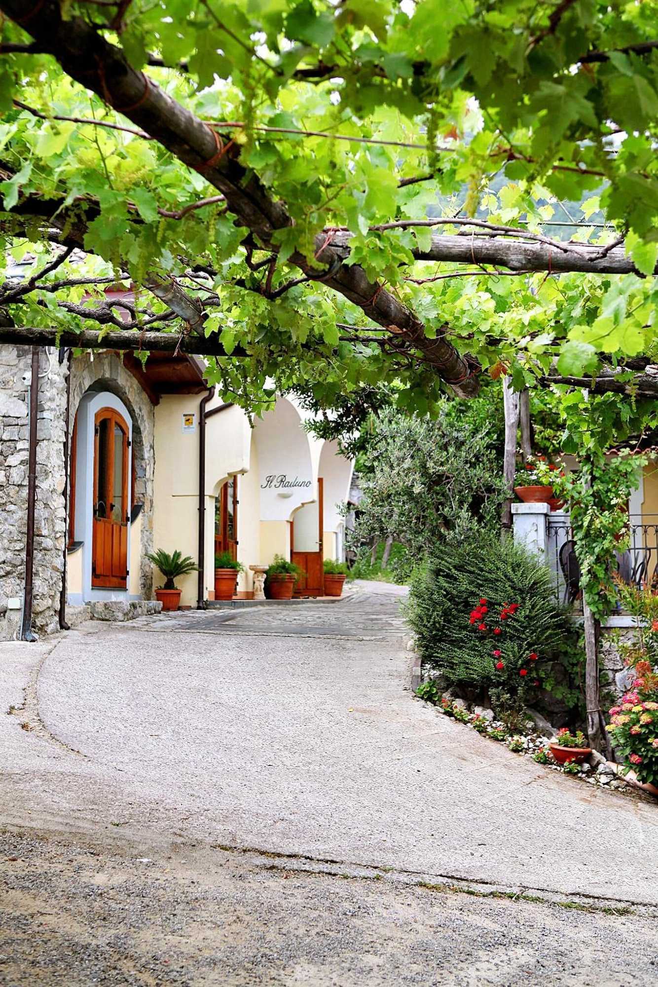 Gift card for Agriturismo Il Raduno Gift card for Agriturismo Il Raduno