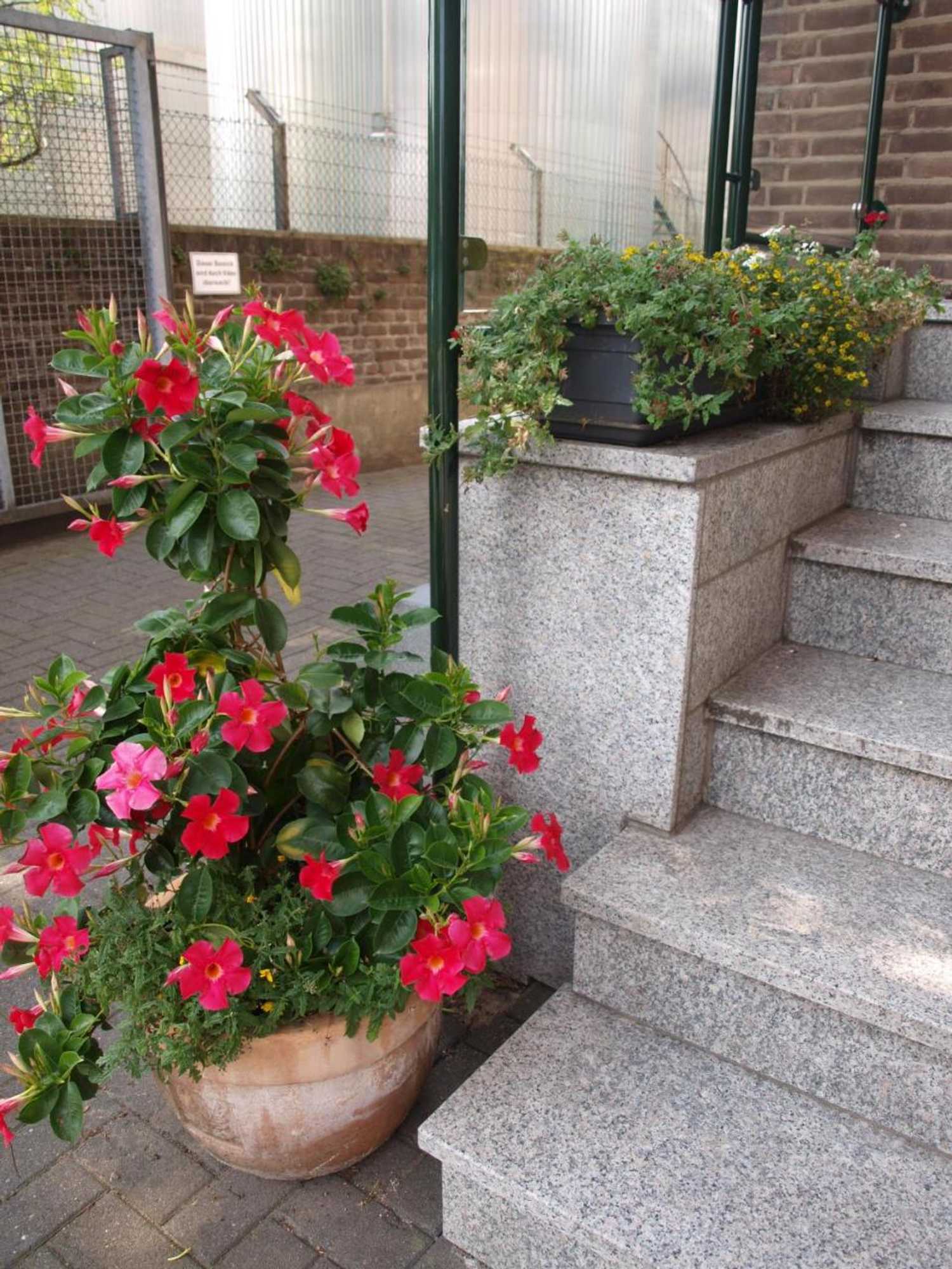 Gift card for Hotel Societät