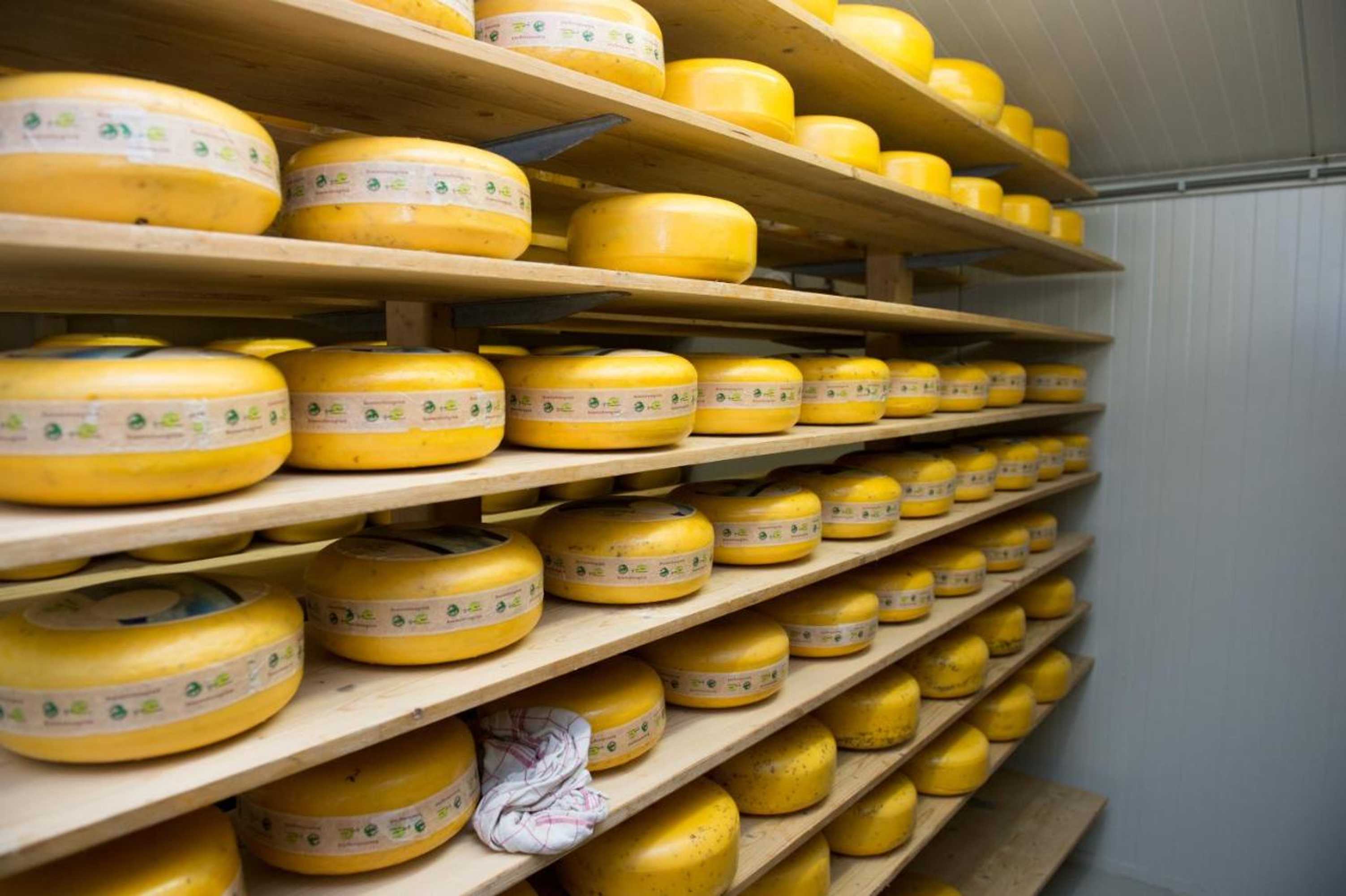 Gift card for Apartement De Vosseburch