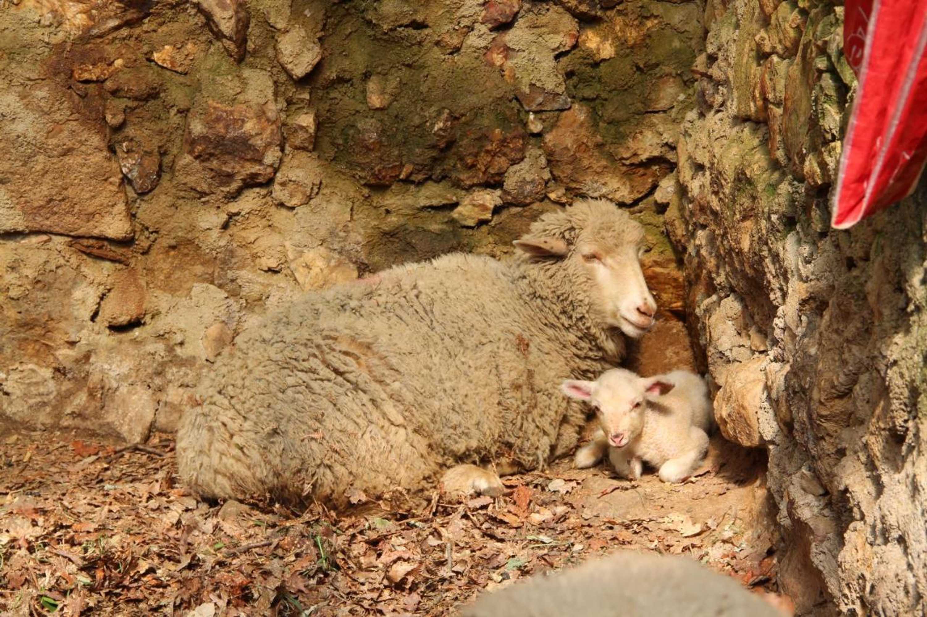 Gift card for Quinta Do Sobral Gift card for Quinta Do Sobral