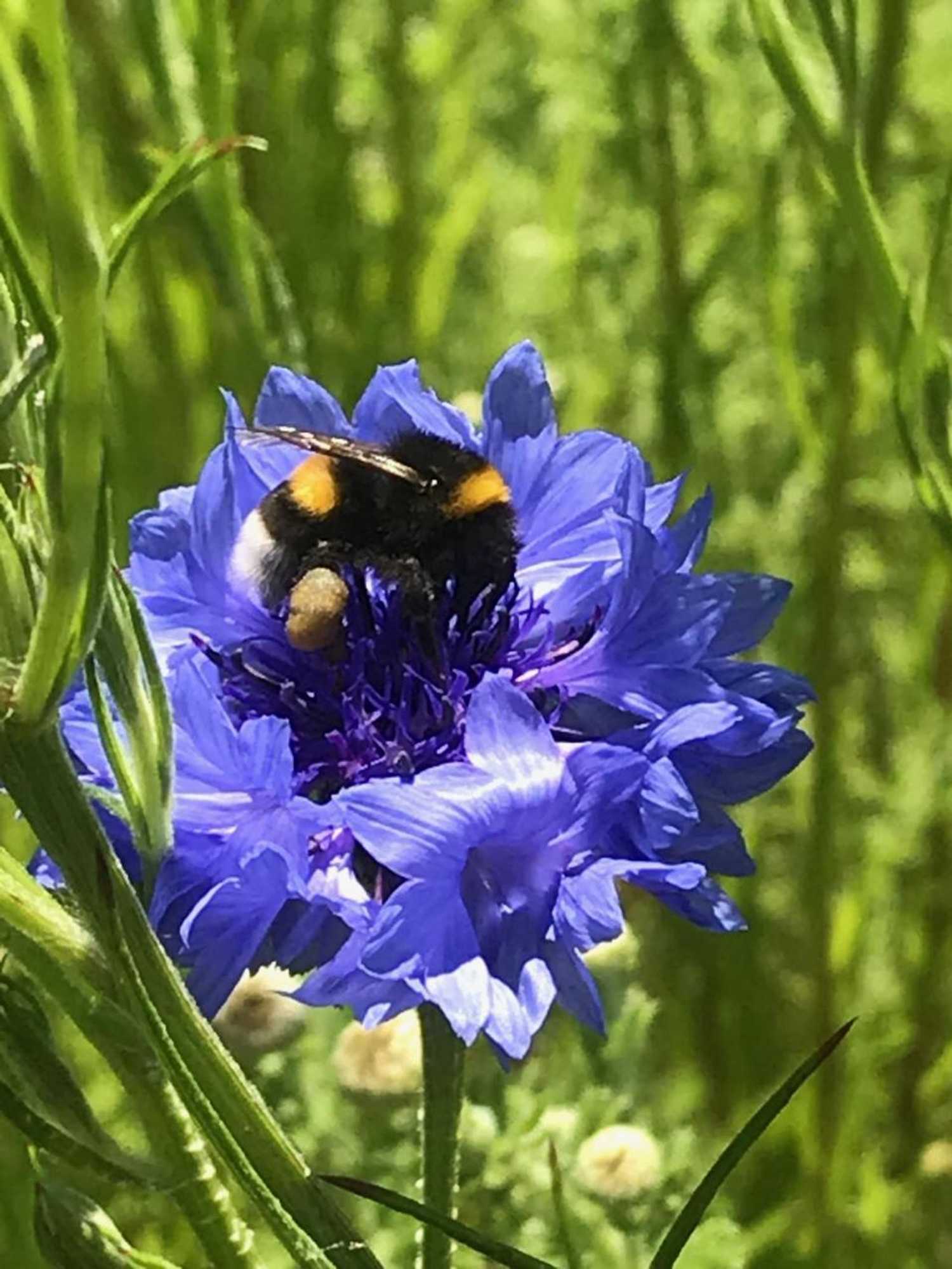 Gift card for De Kopstoof