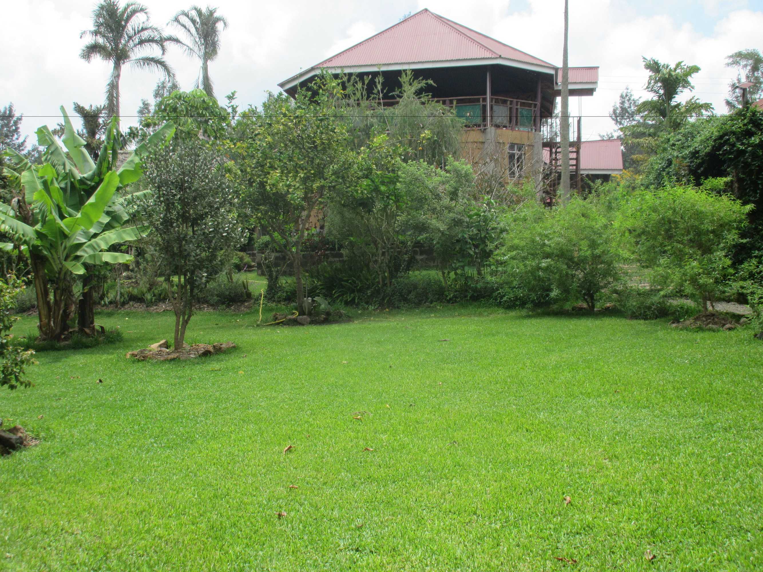 Gift card for Kilimanjaro Eco Lodge Gift card for Kilimanjaro Eco Lodge