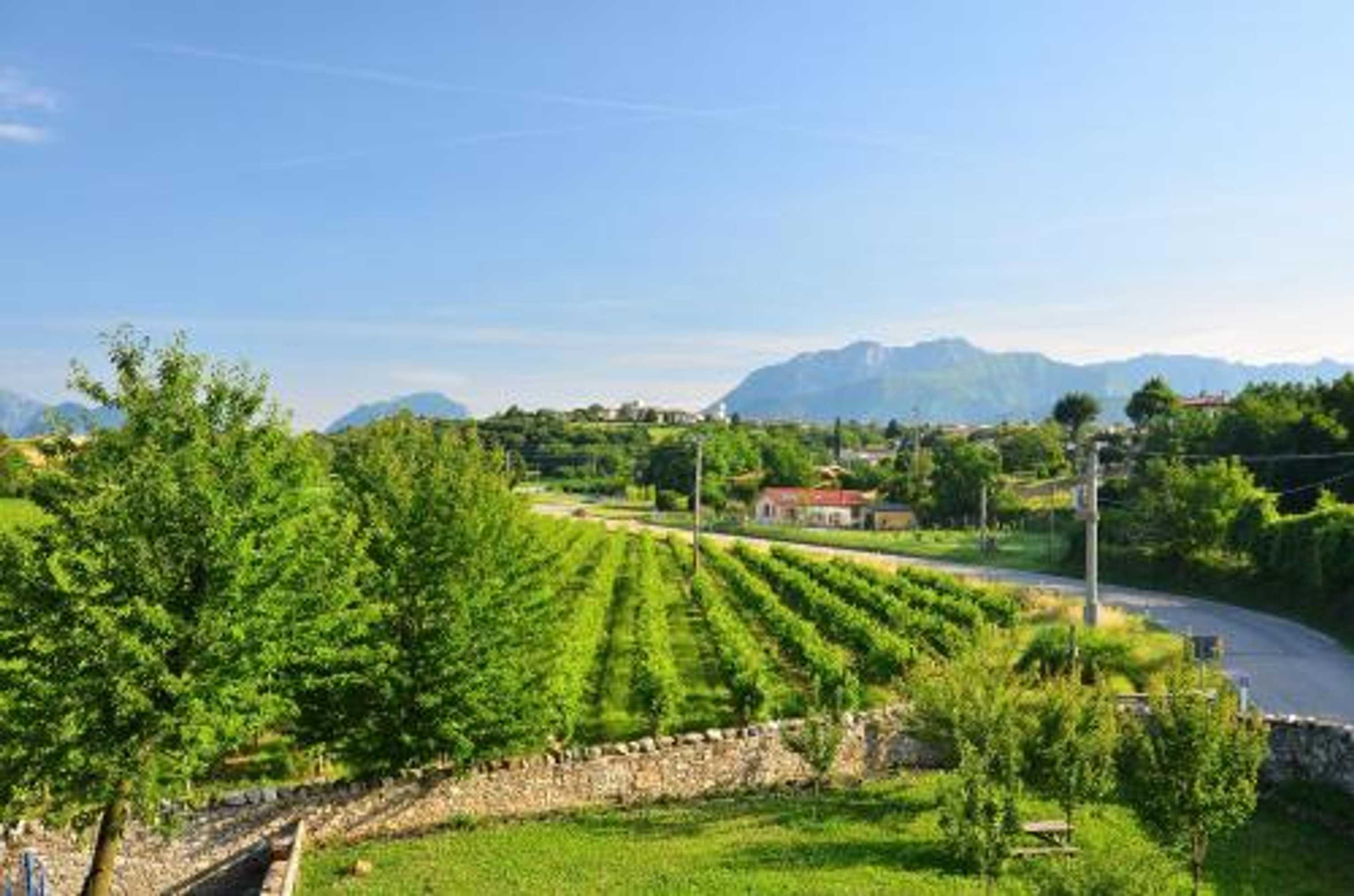 Gift card for Agriturismo Borgo Floreani Gift card for Agriturismo Borgo Floreani