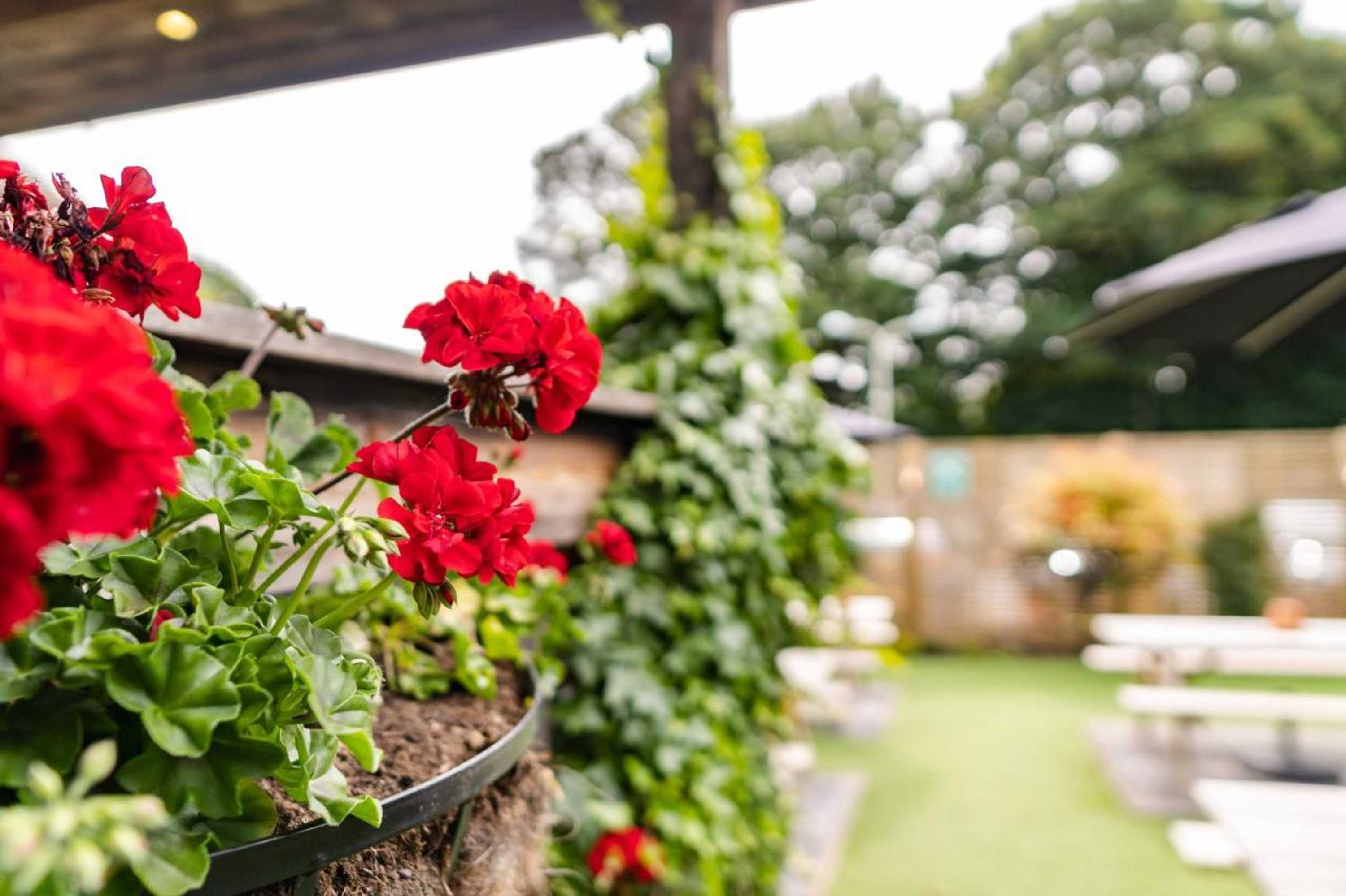 Gift card for The Farm House