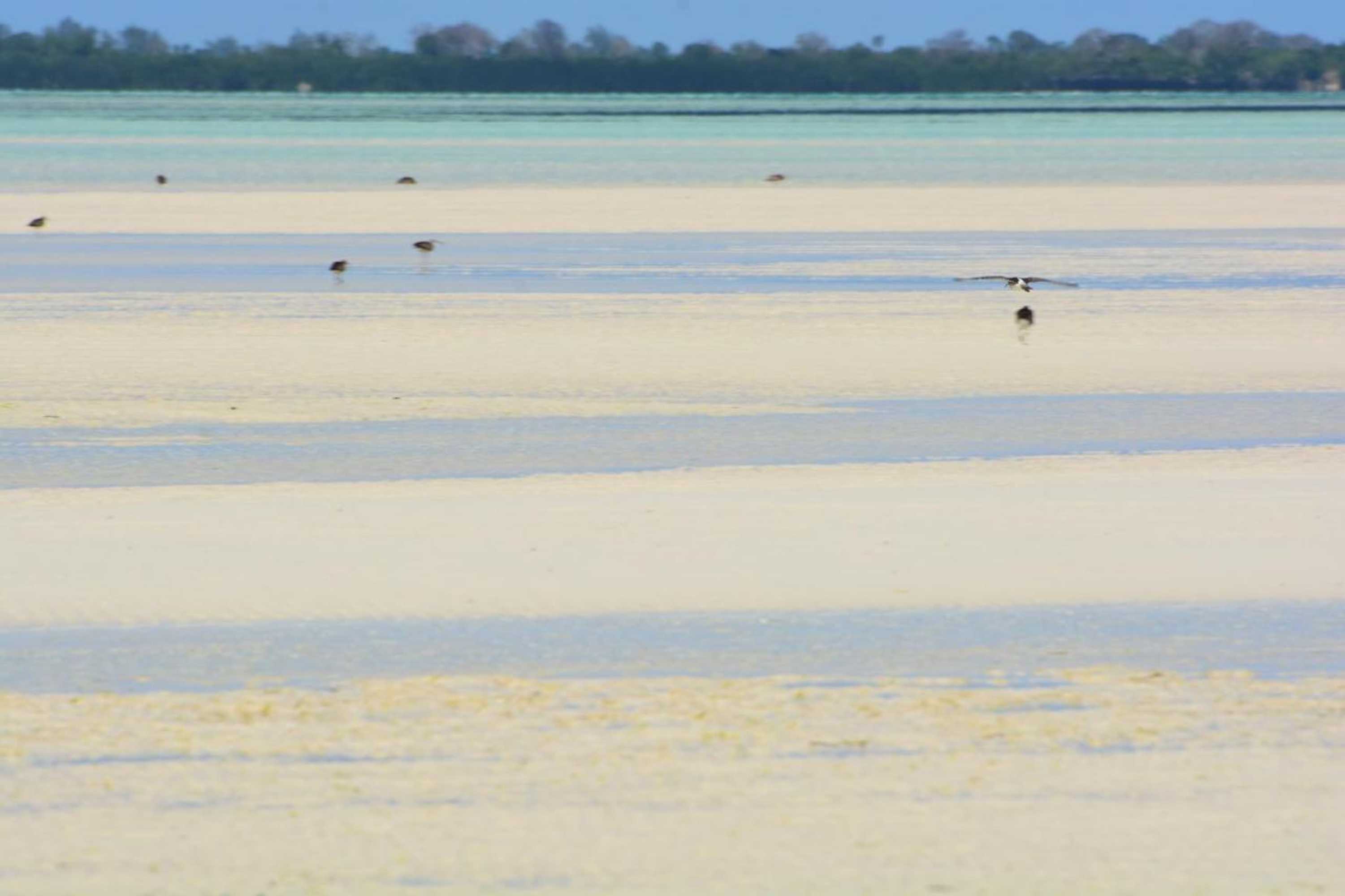 Gift card for Emerald Bay Resort