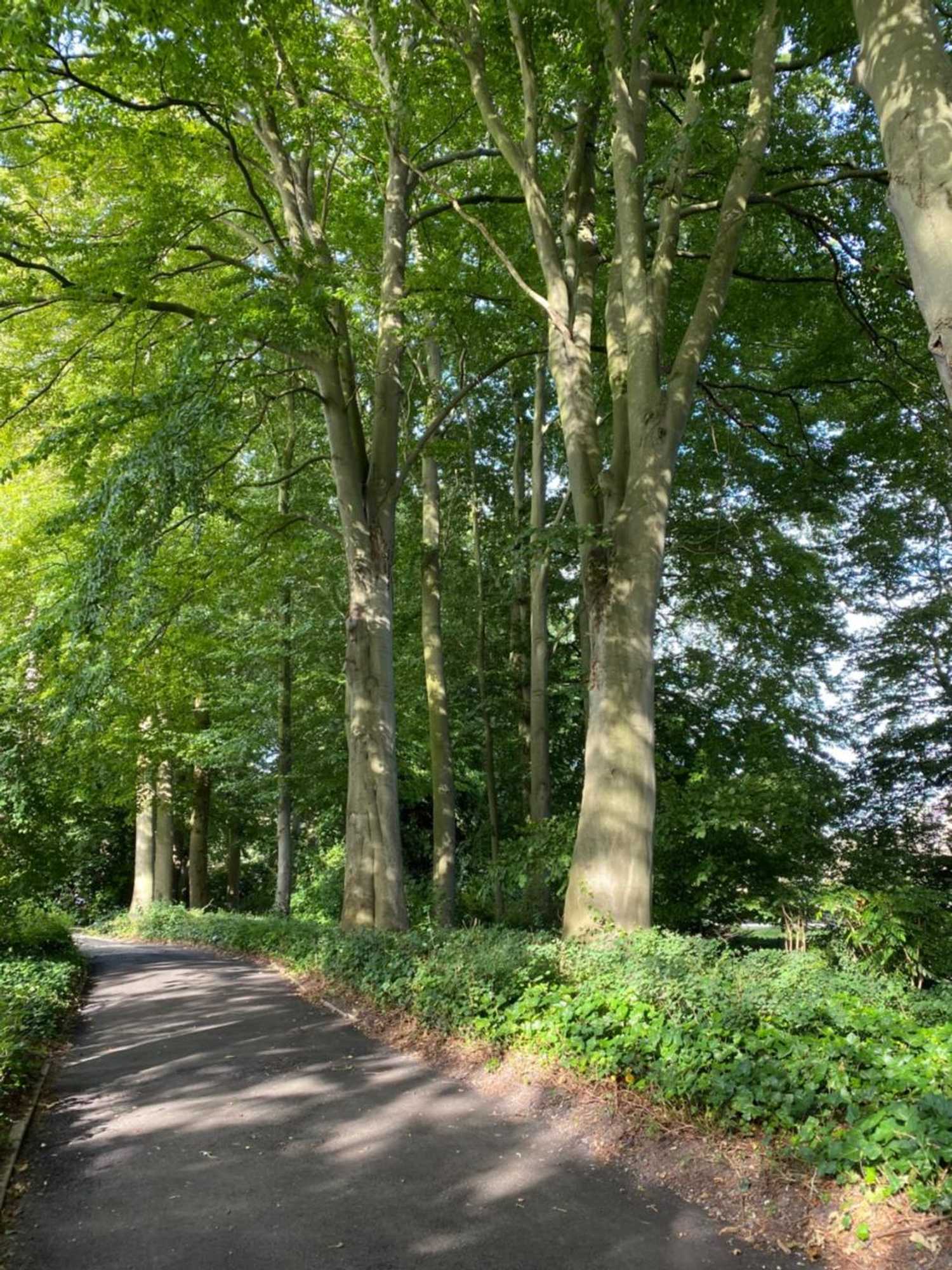 Gift card for Bed And Breakfast Het Emmapark Medemblik