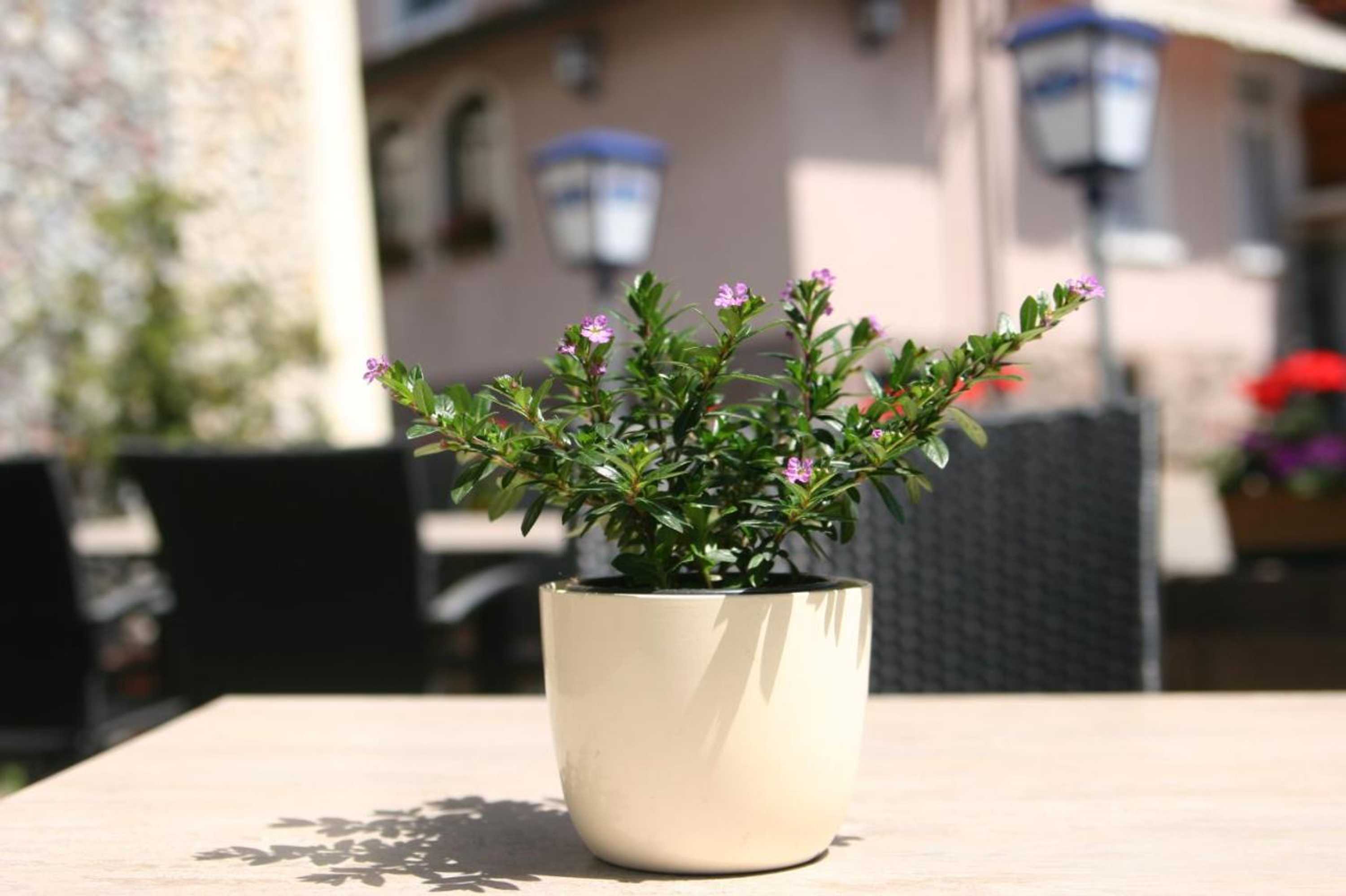 Gift card for Hotel Restaurant Zum Hirschen