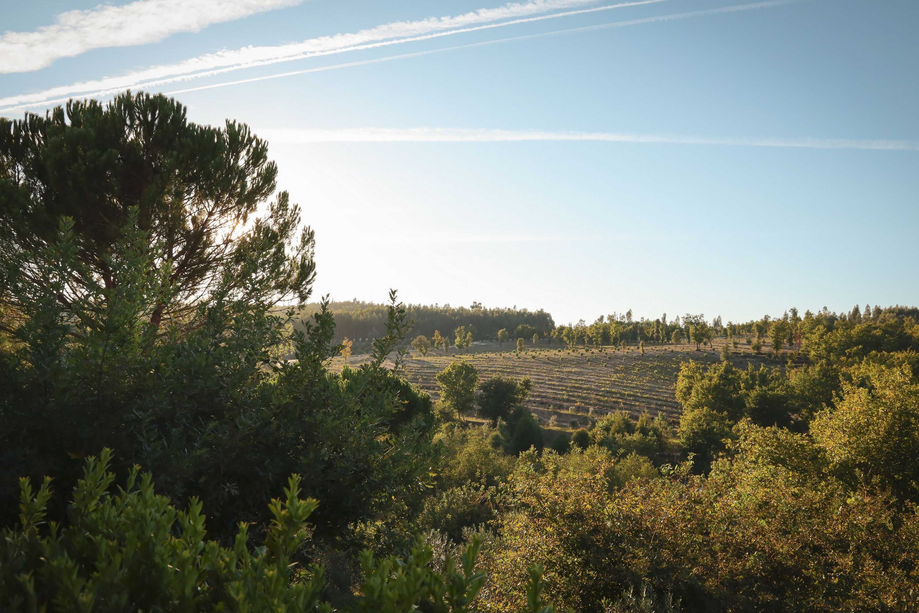 Gift card for I Love Dão - Casas Da Fraga