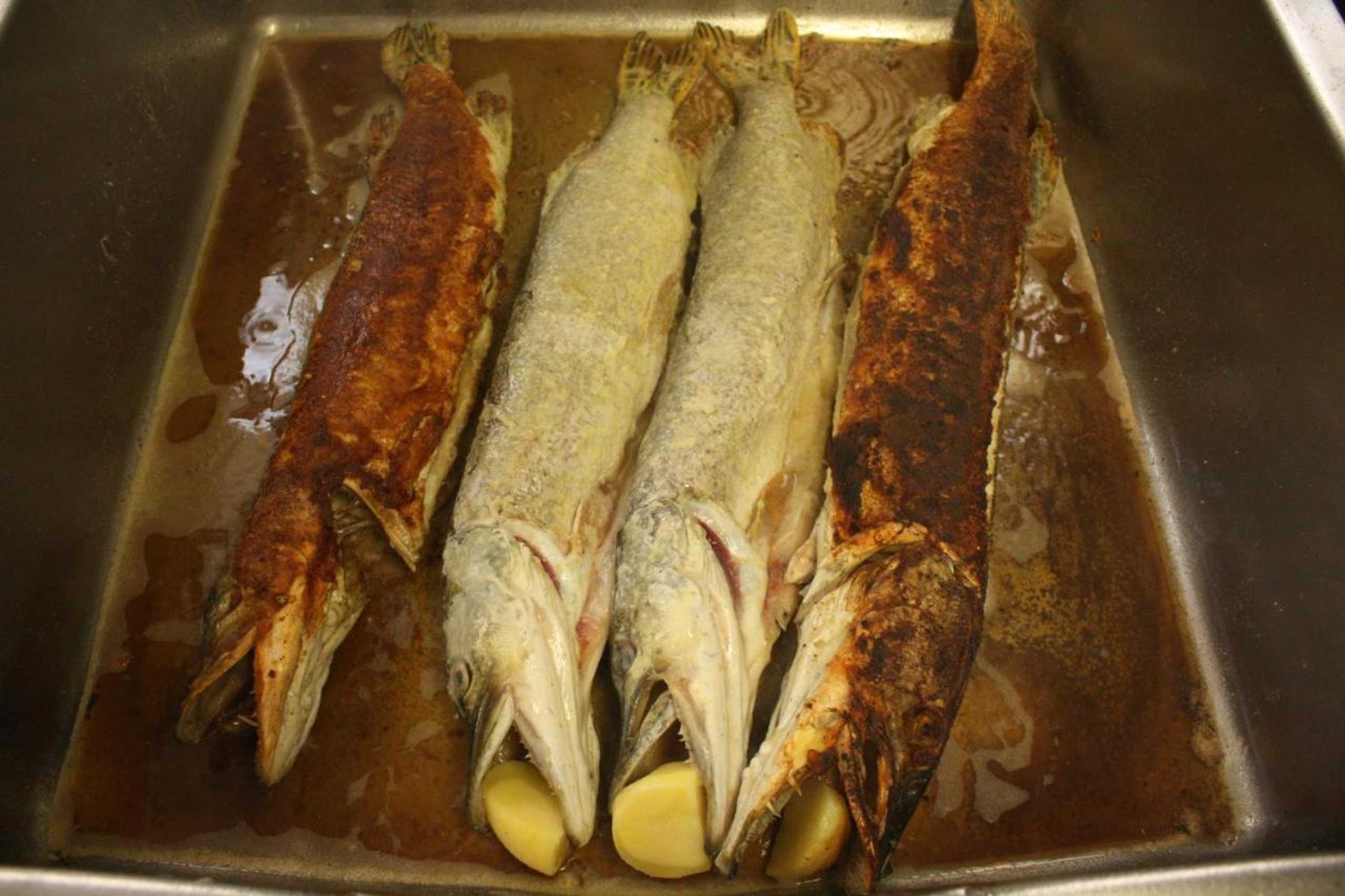 Gift card for Hotel Rheinfels