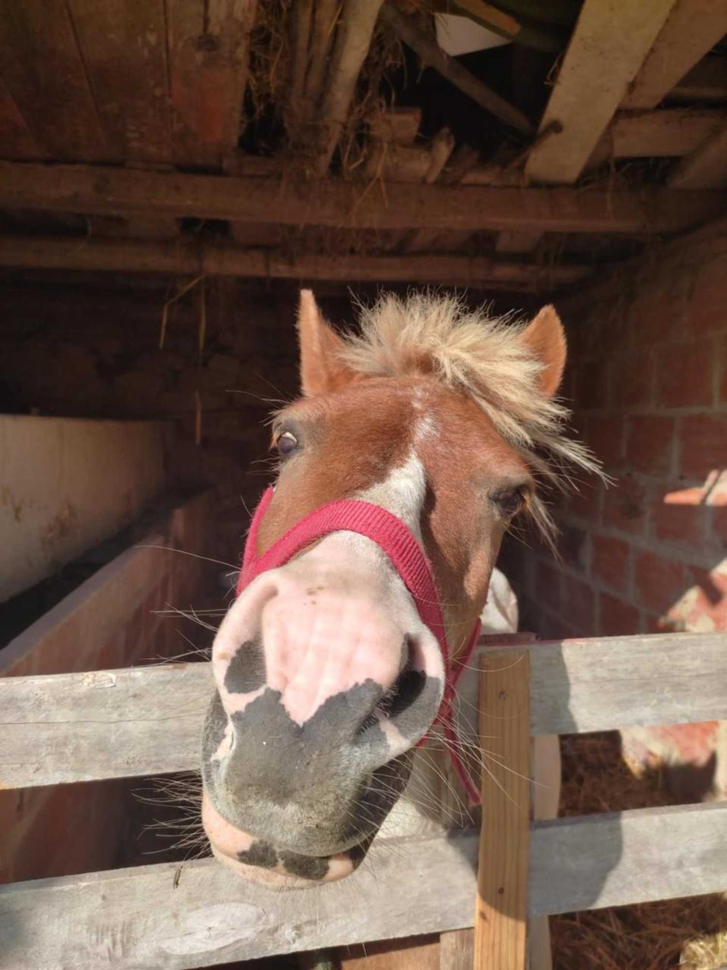 Gift card for Nature Et Al House