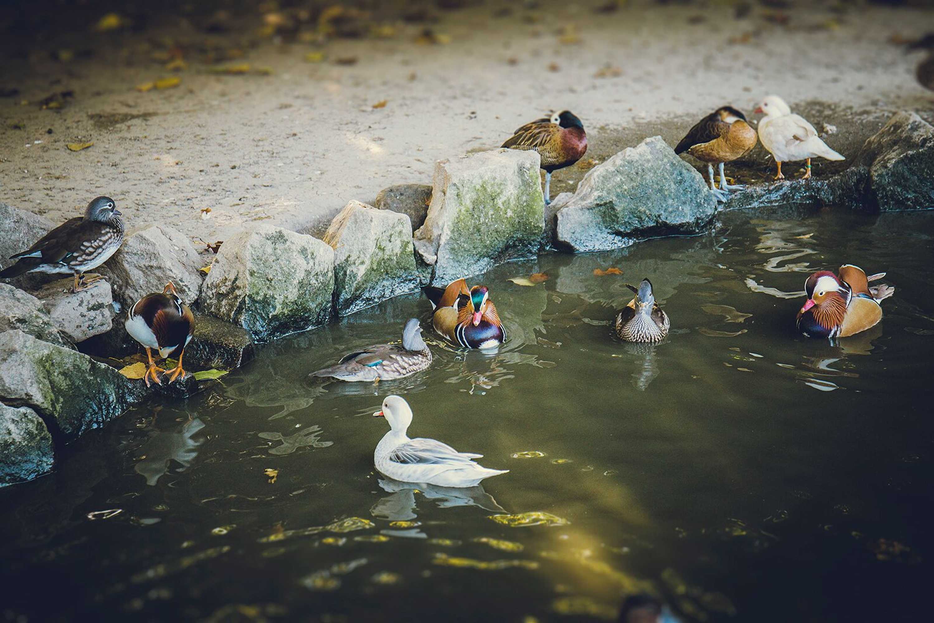 Gift card for Quintãs Farm Houses