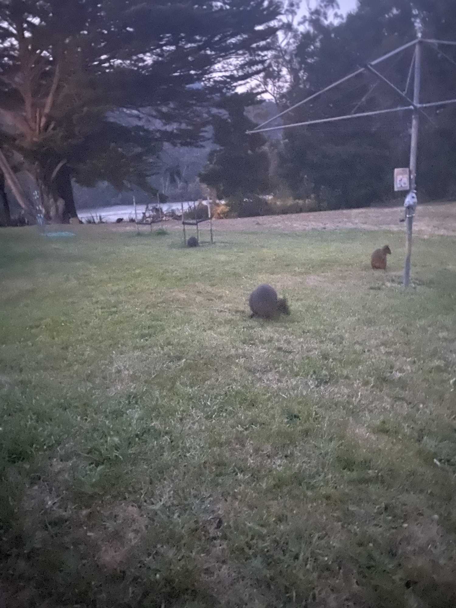 Gift card for River Front Estate