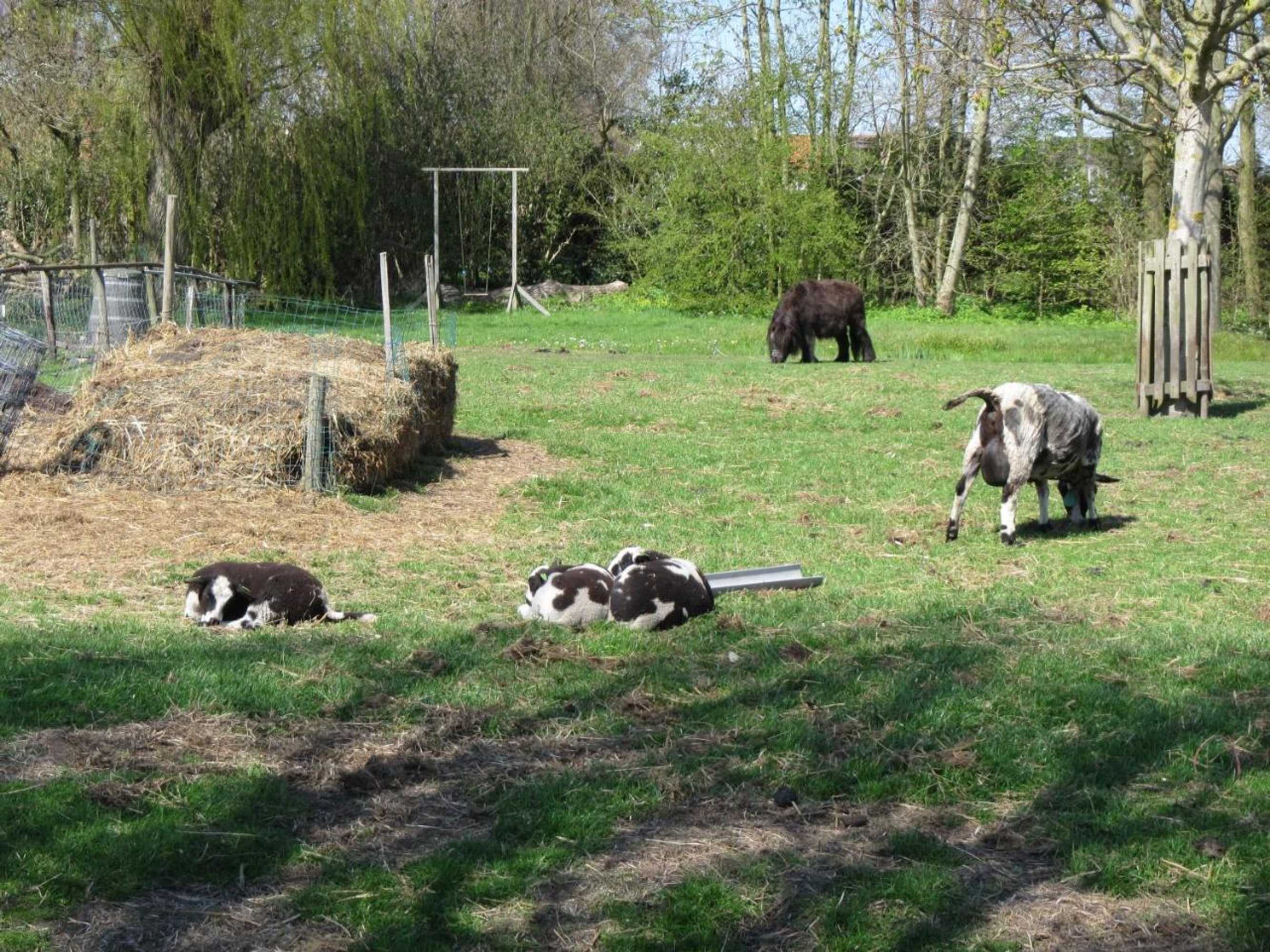 Gift card for Bed&brood De Straverdonk