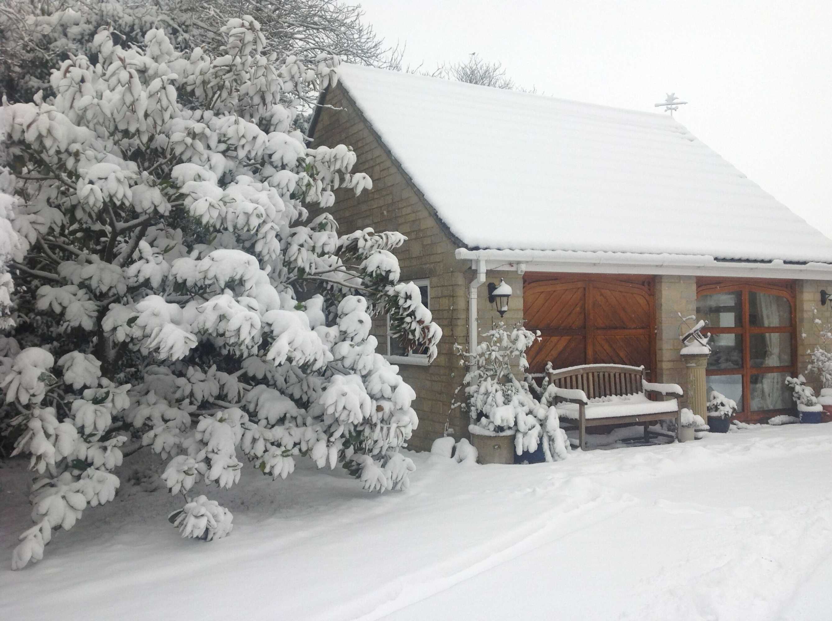 Gift card for The Studio