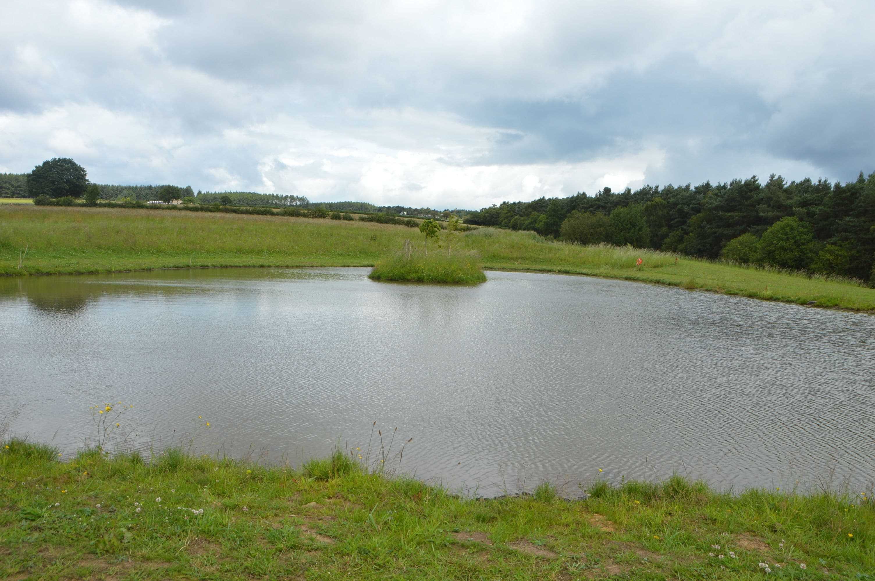 Gift card for Middlehead Cottages at Cropton Forest Gift card for Middlehead Cottages at Cropton Forest