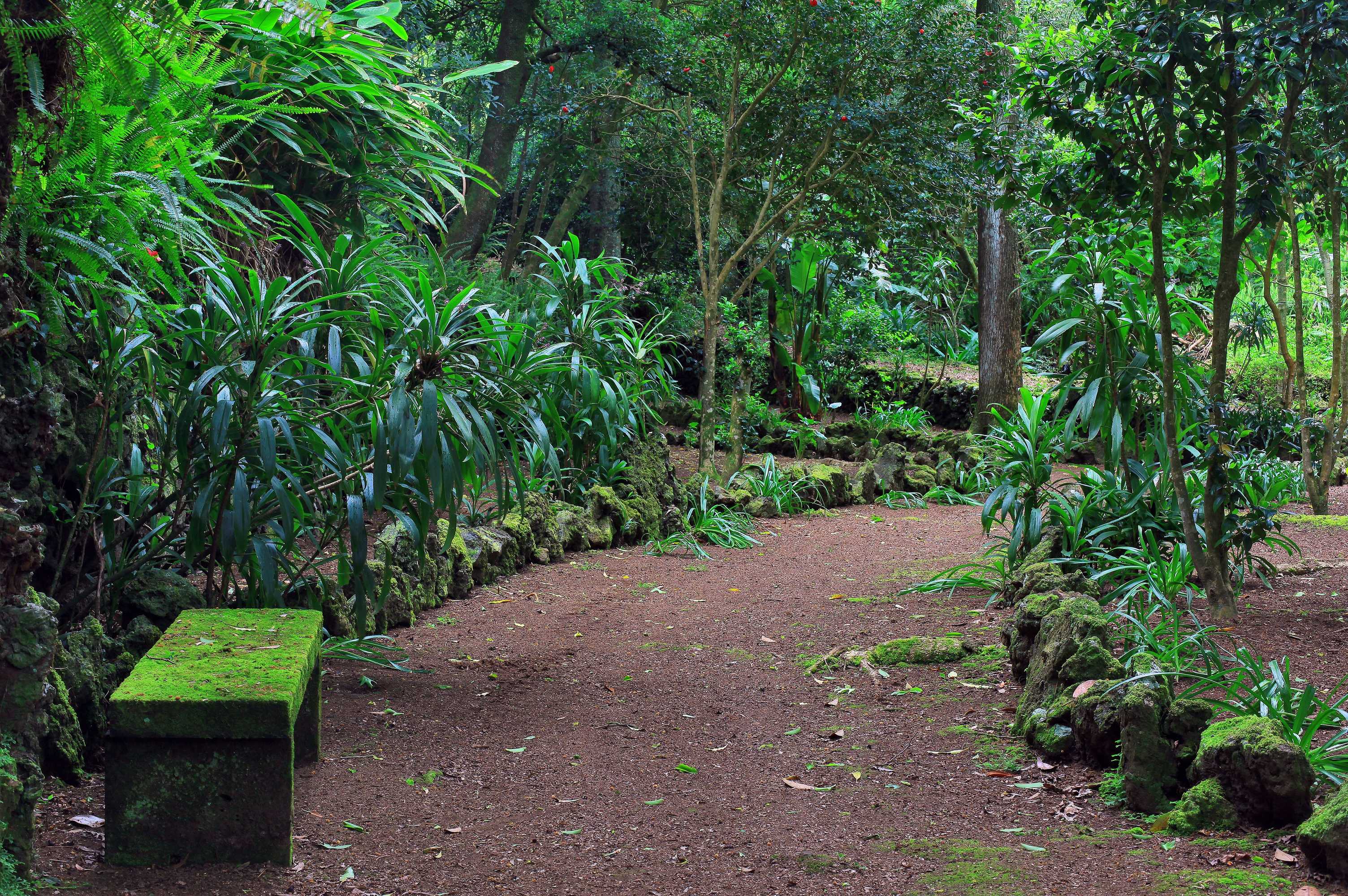 Gift card for Solar Do Conde Garden Hotel