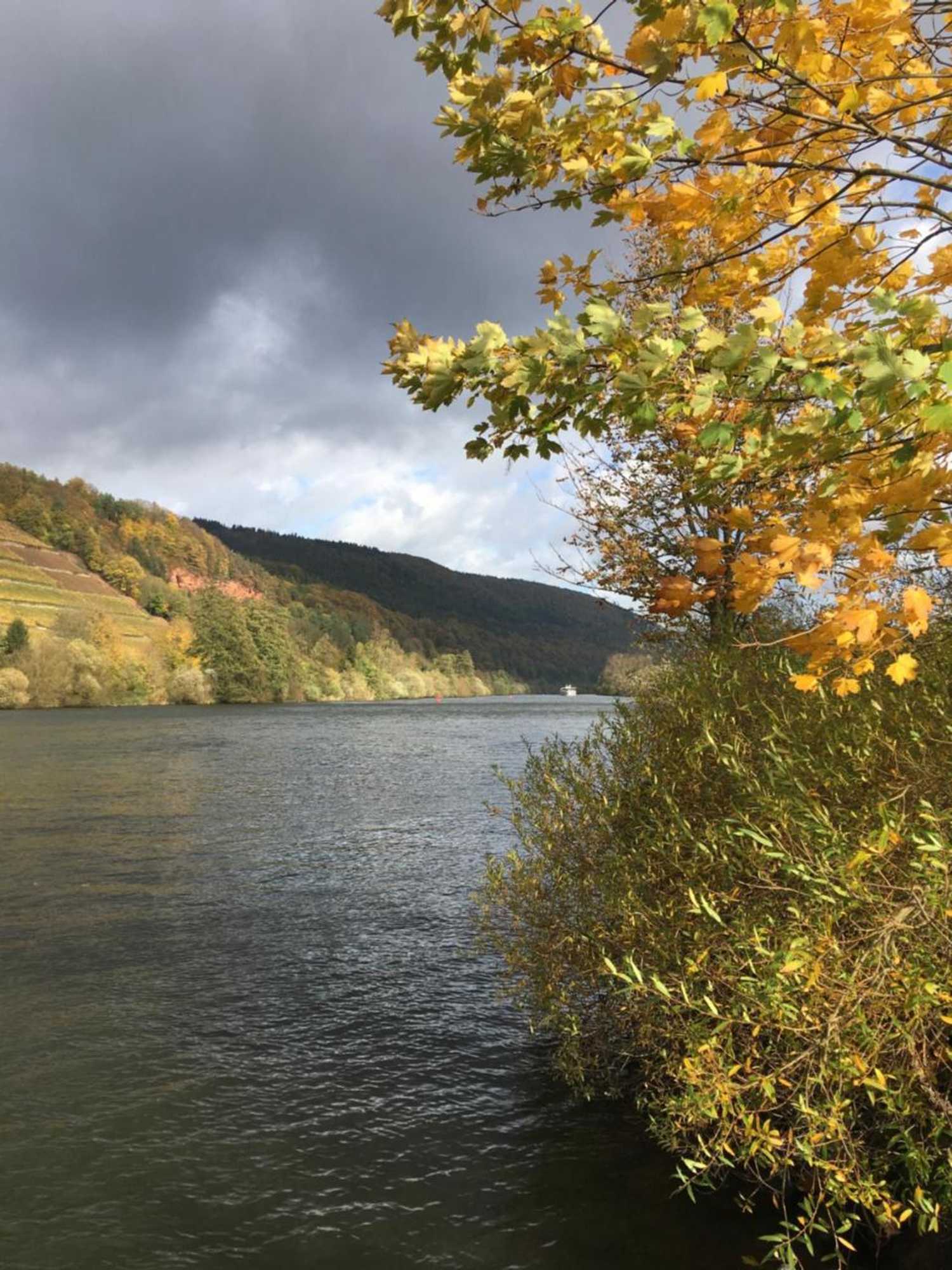 Gift card for Hotel Centgraf