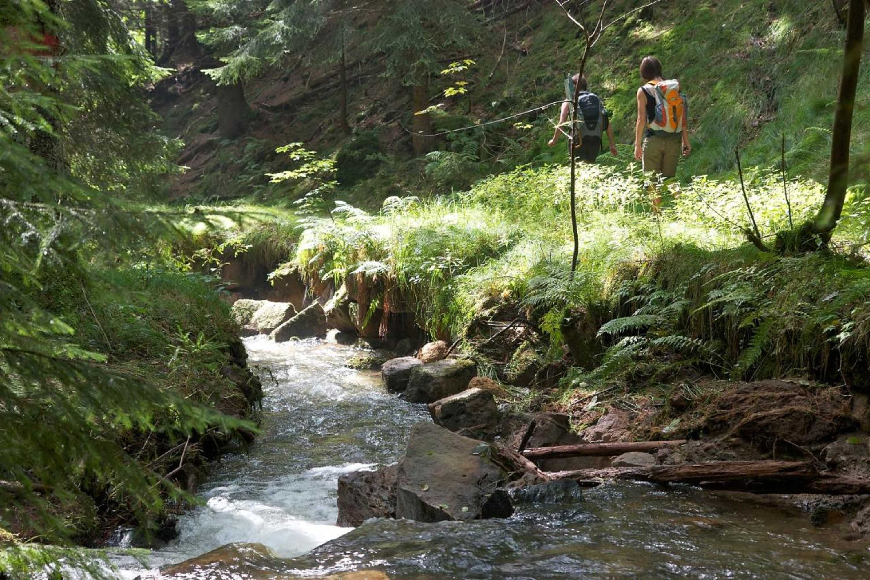 Gift card for Ferienoase Hinterhermsdorf