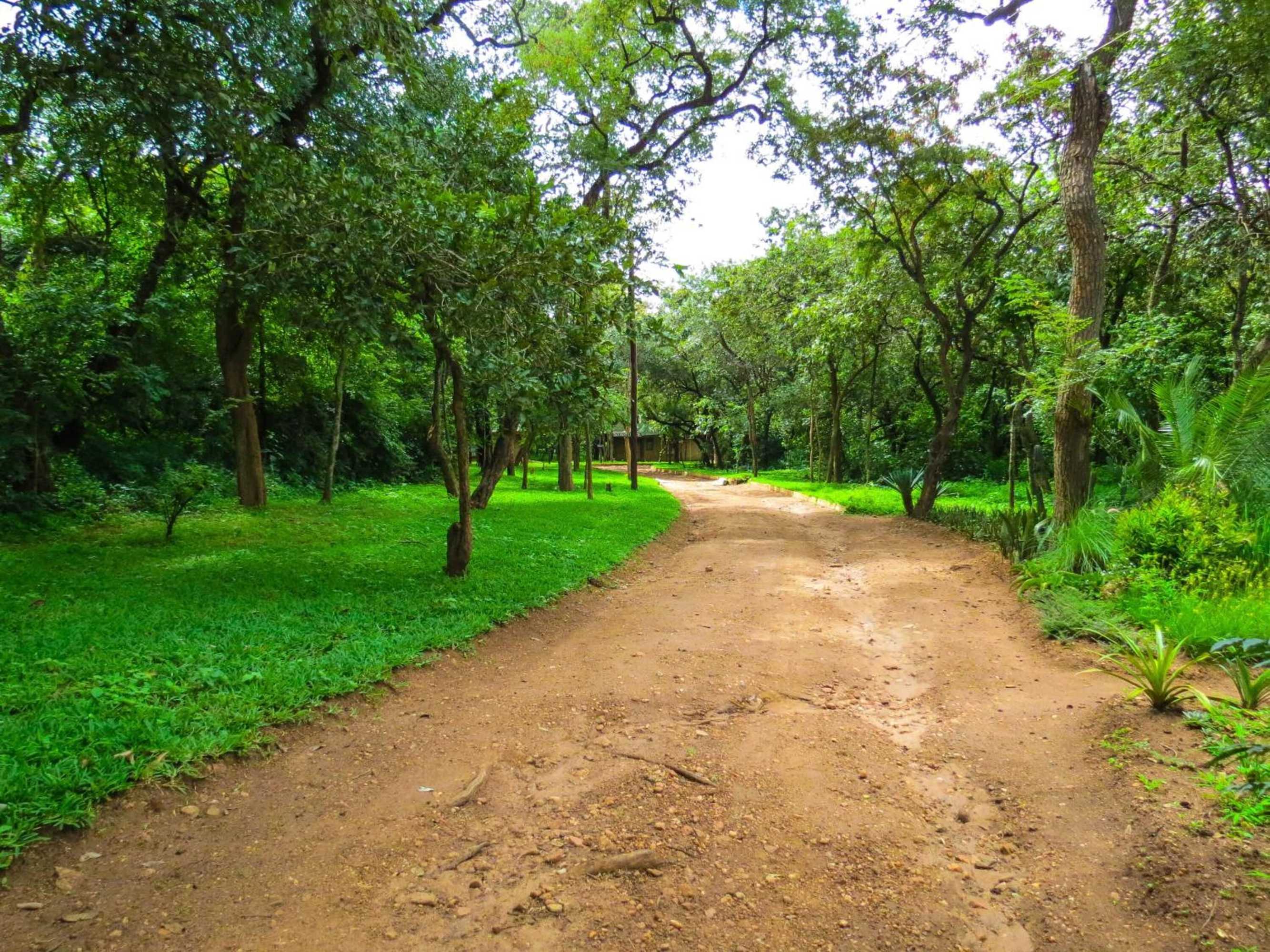 Gift card for Woodlands Lilongwe Gift card for Woodlands Lilongwe