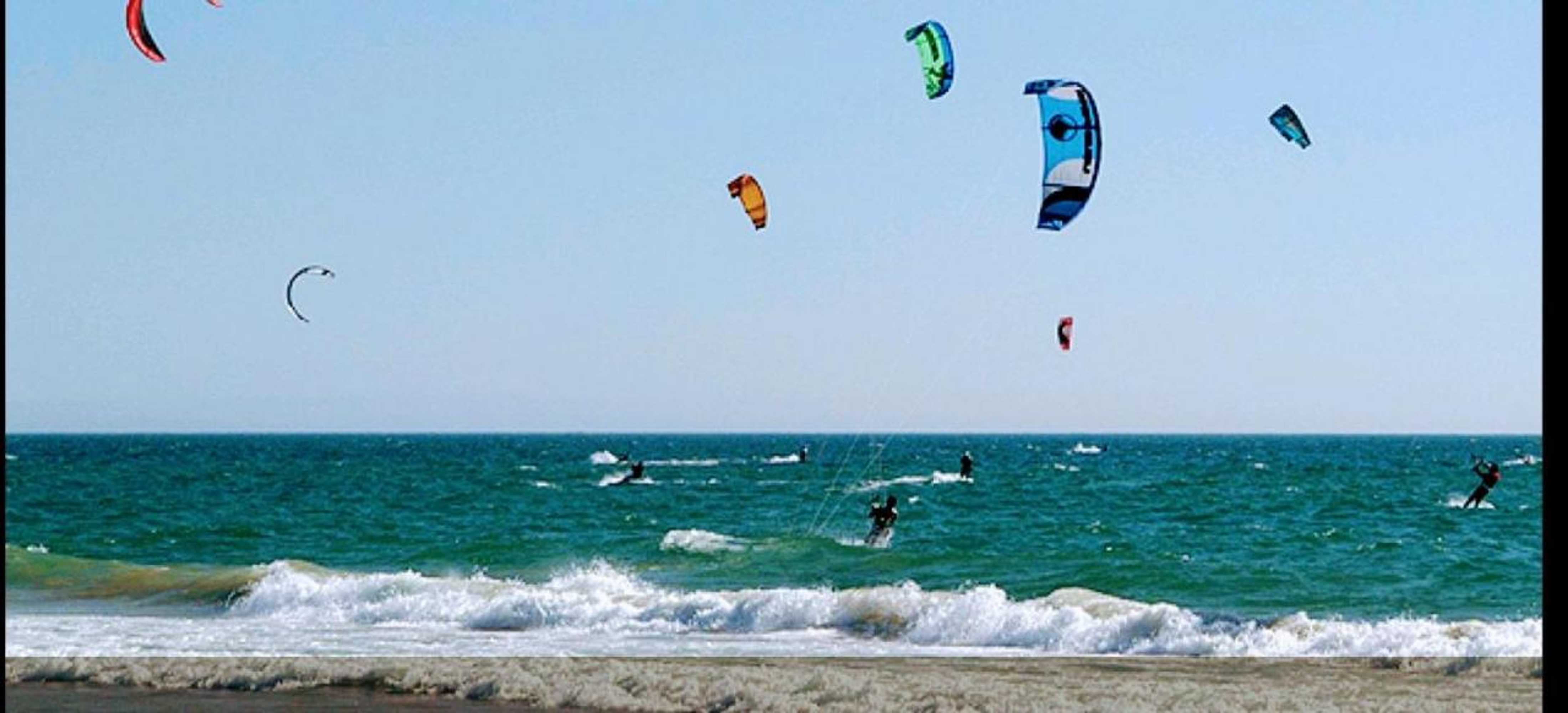 Gift card for Casa Colmeia