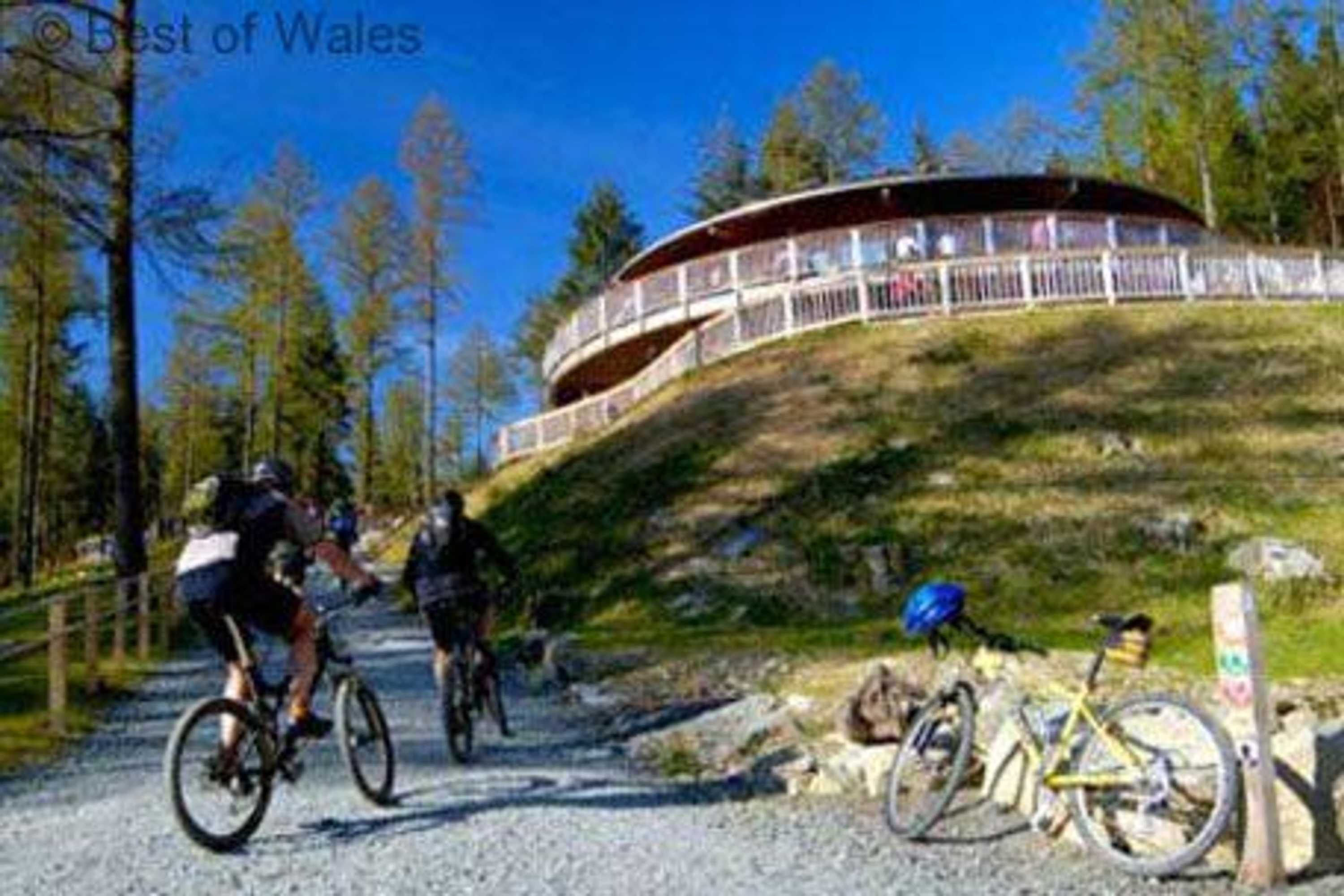 Gift card for Stabal Llew Coch