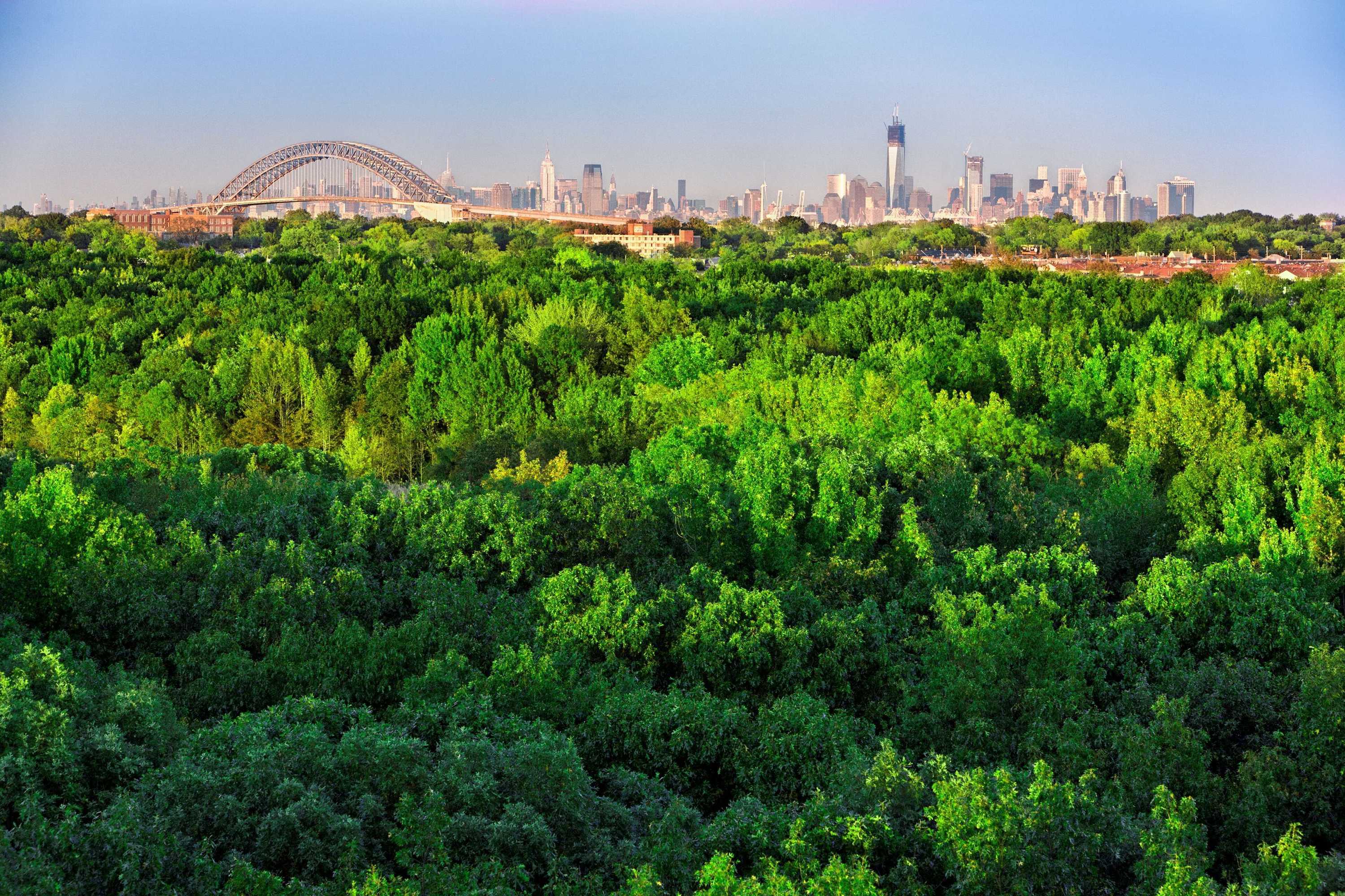 Gift card for Hilton Garden Inn New York/staten Island