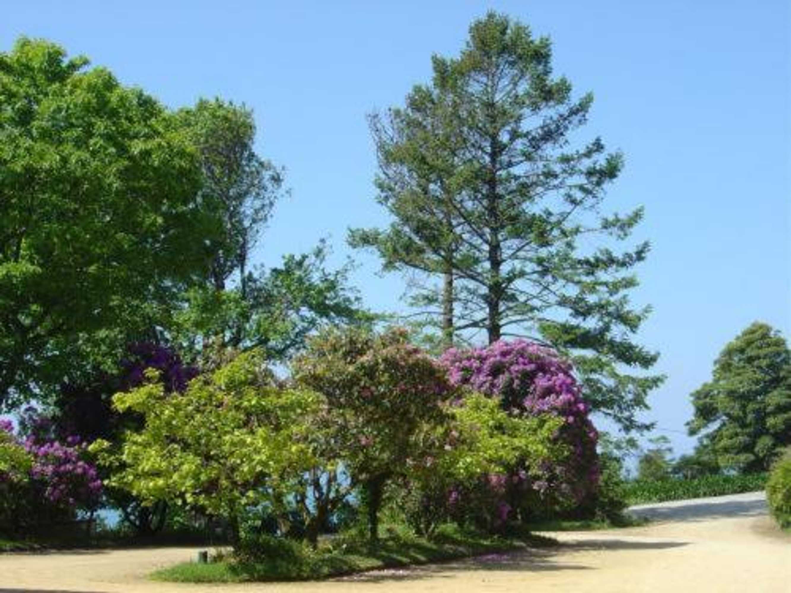 Gift card for Quinta de Valverde