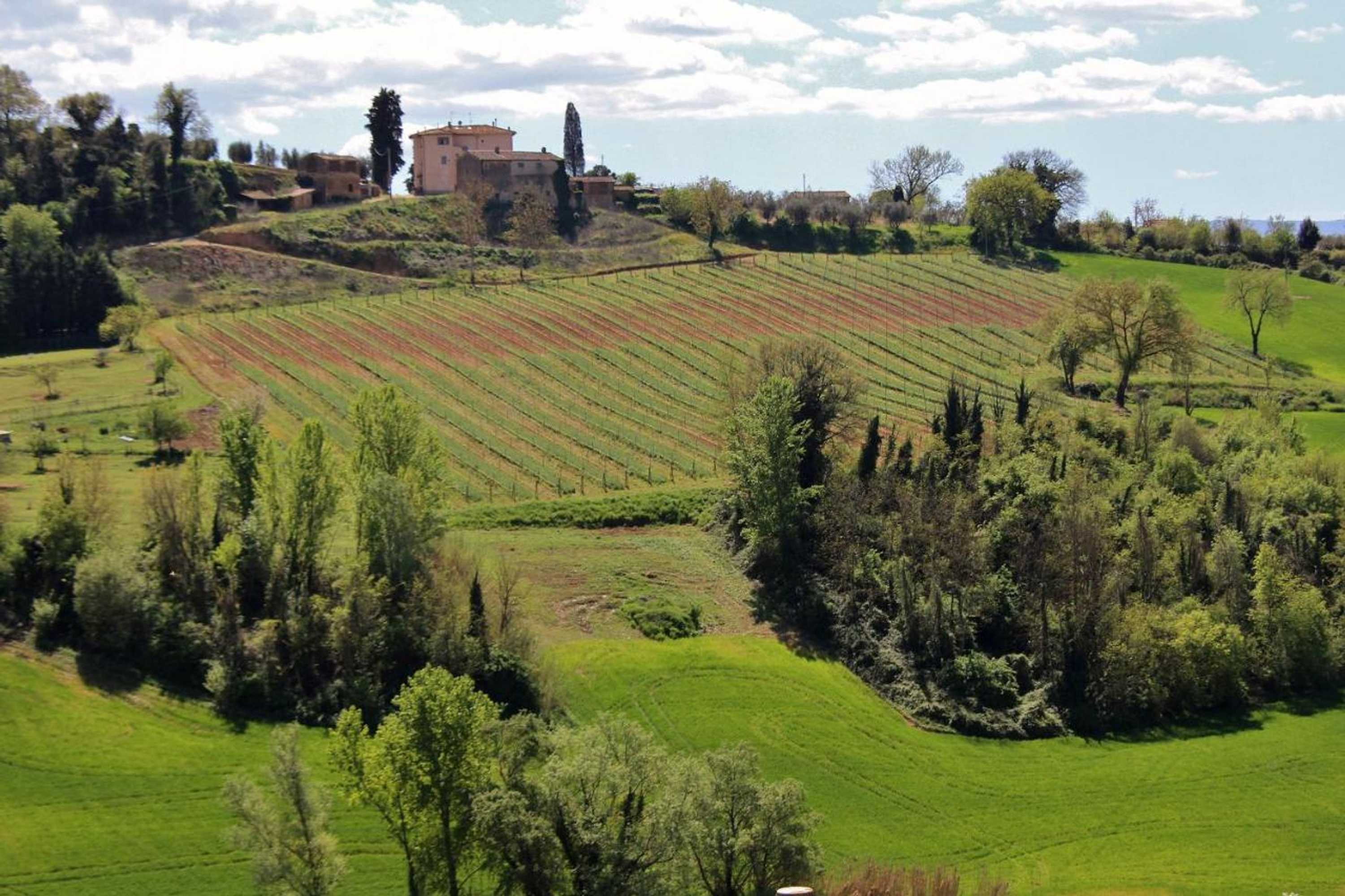 Gift card for Podere Oliveta