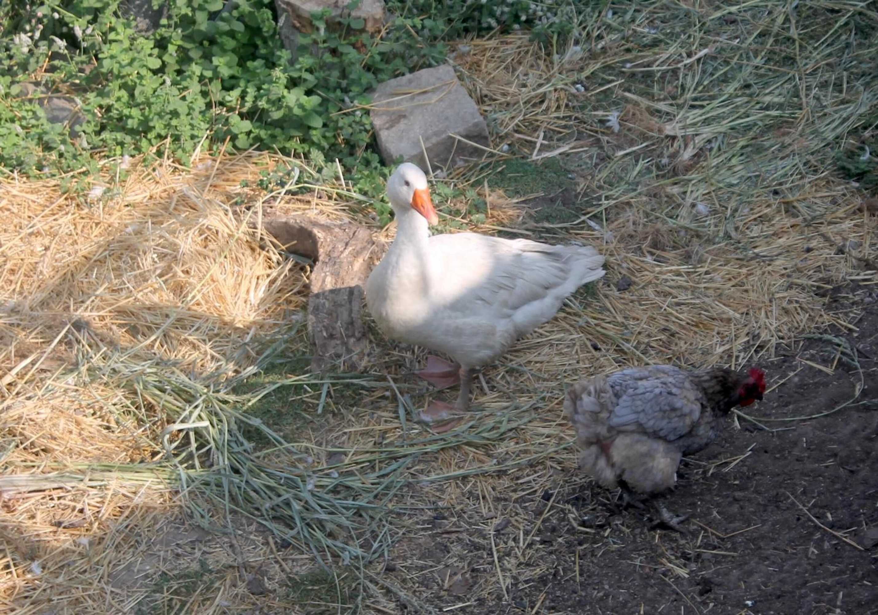 Gift card for Quinta da Mata