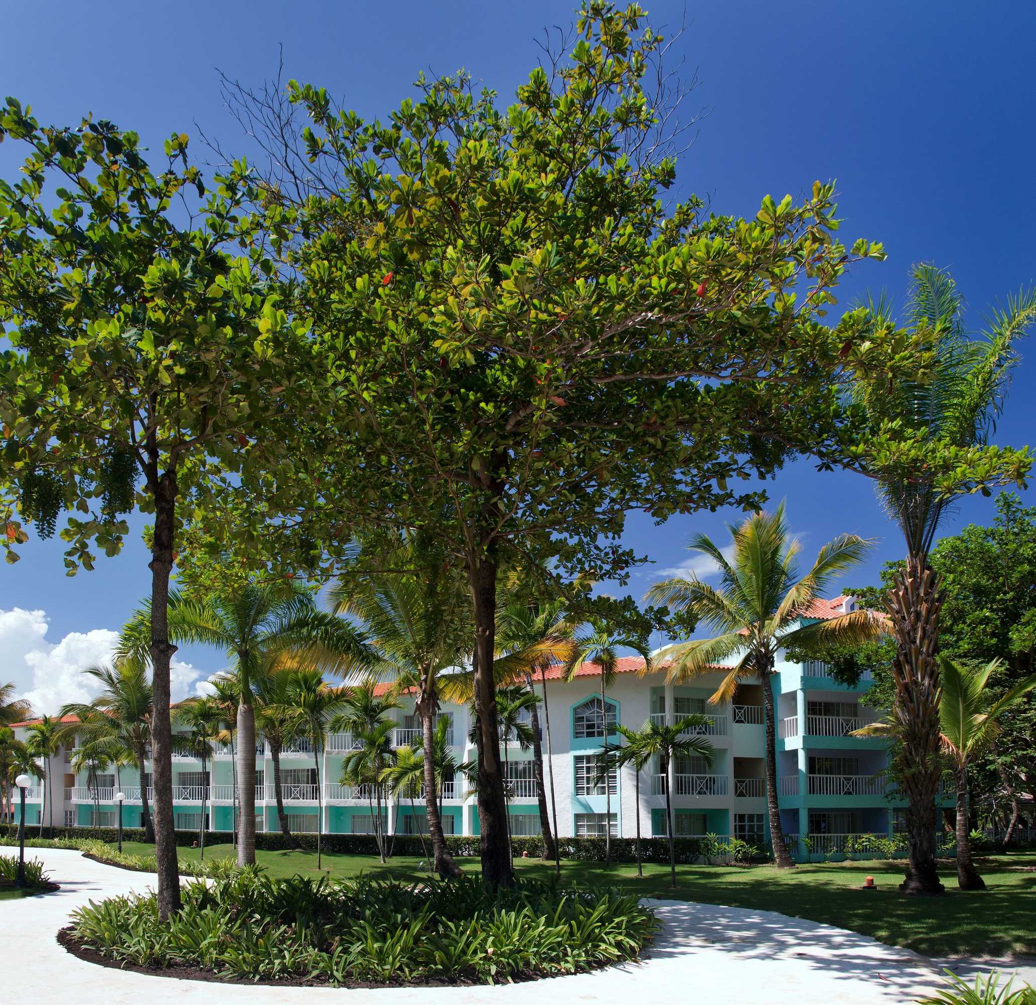 Gift card for VH Gran Ventana Beach Resort - All Inclusive Gift card for VH Gran Ventana Beach Resort - All Inclusive