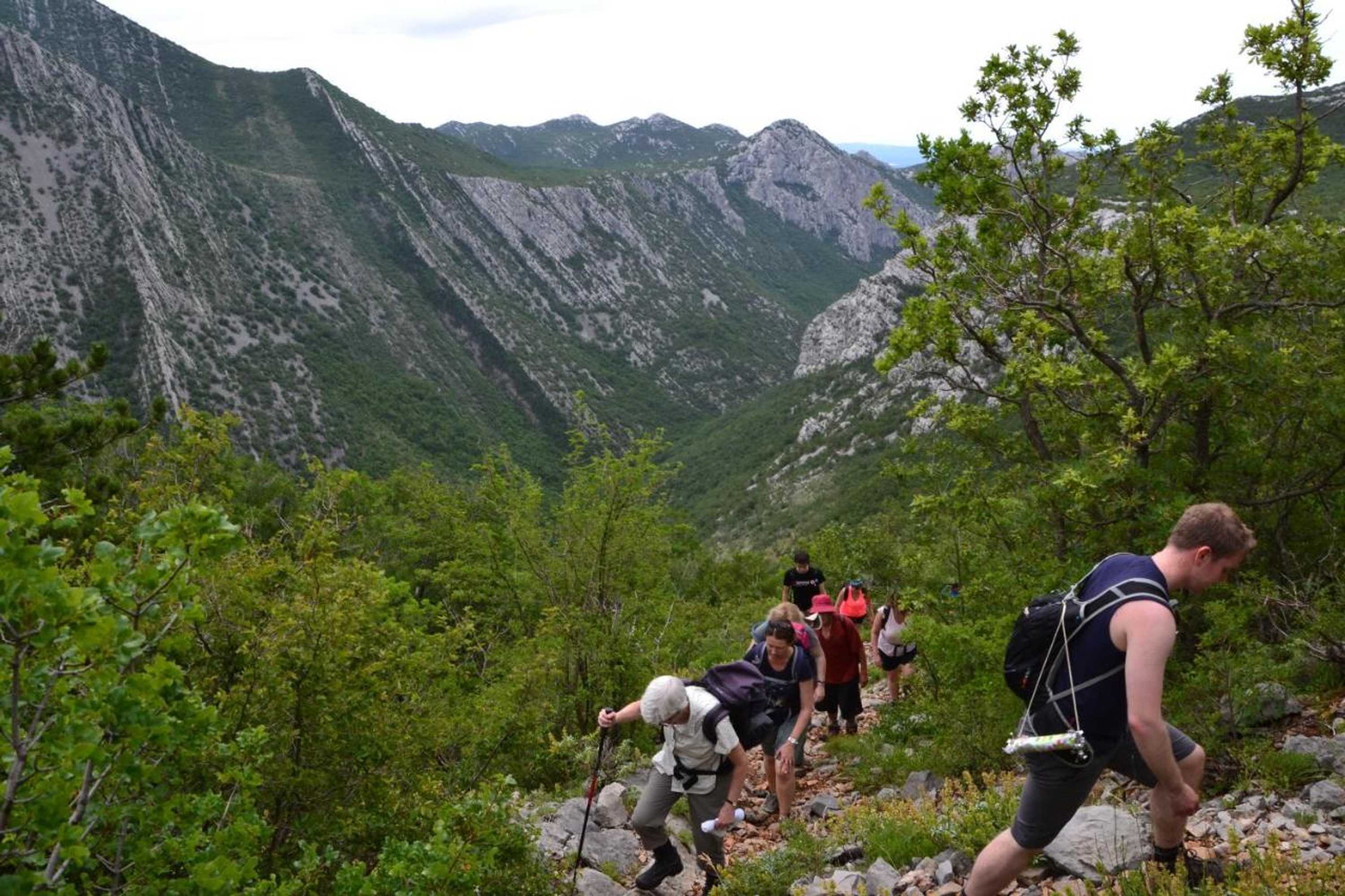 Gift card for Apartments Luka Near Beach