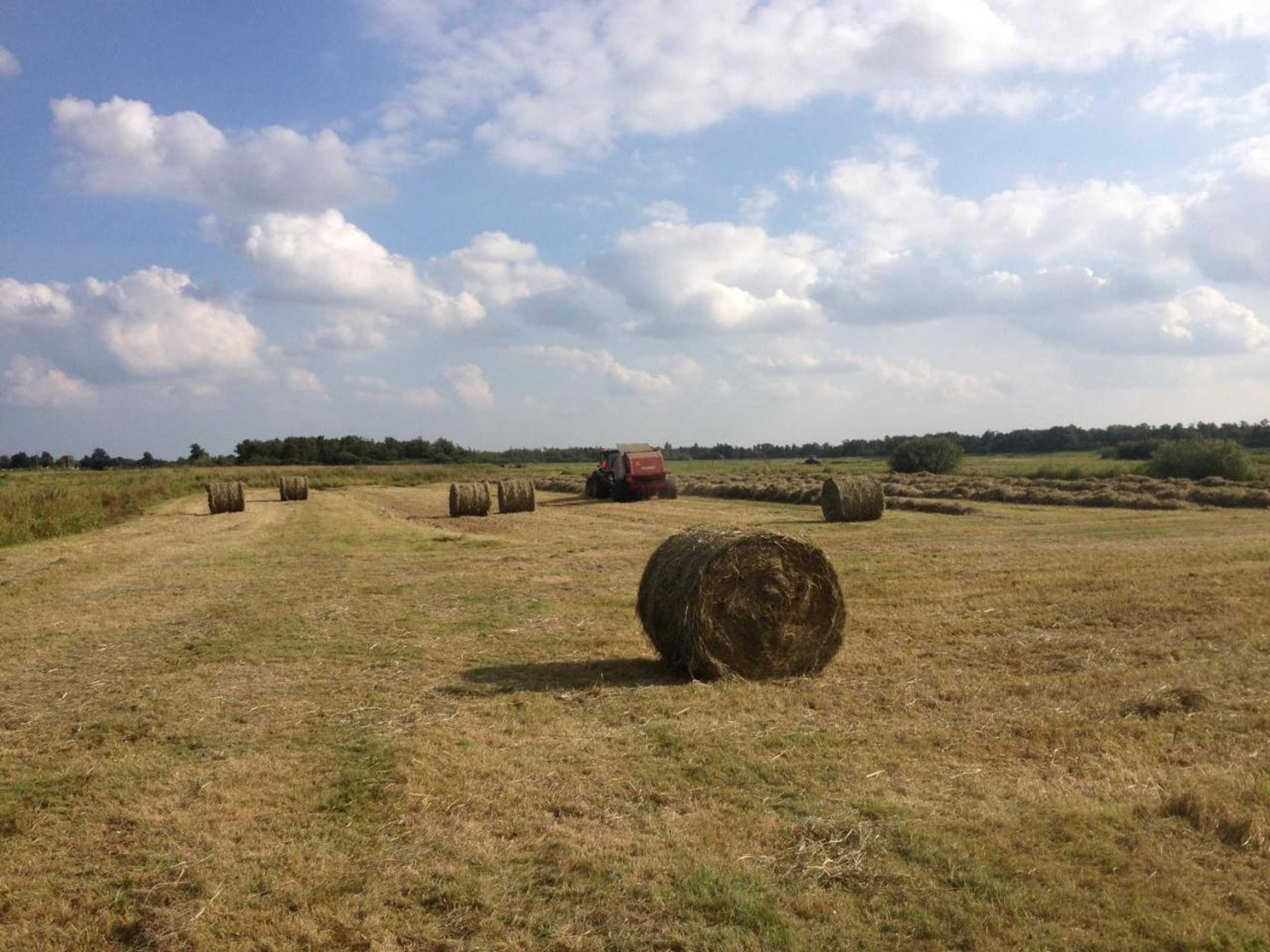 Gift card for Private Island De Sayter